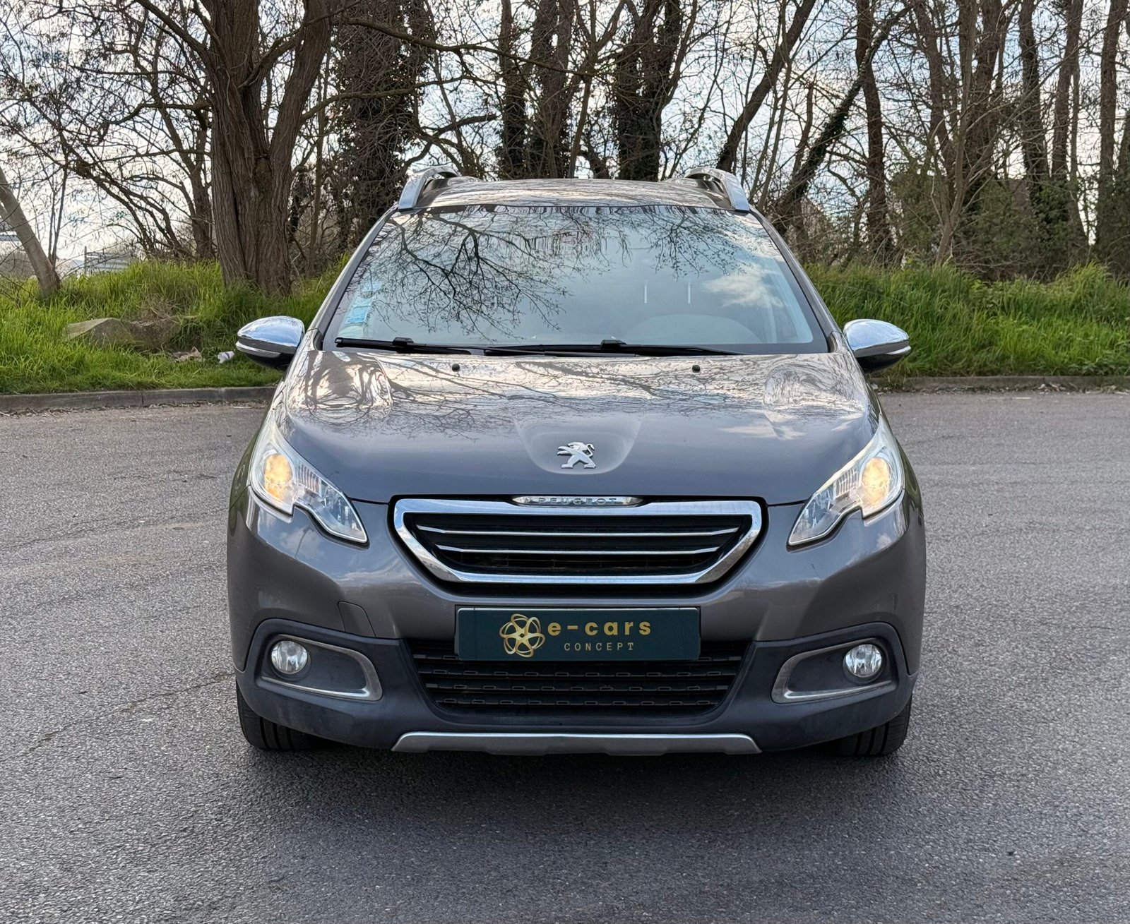 PEUGEOT 2008 1.6 e-HDi S&S 92 cv finition « Business »