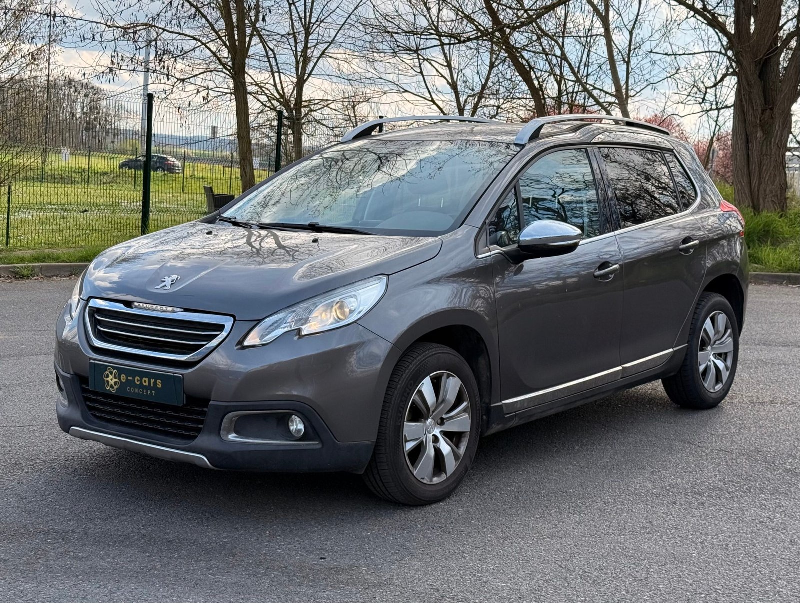 PEUGEOT 2008 1.6 e-HDi S&S 92 cv finition « Business »