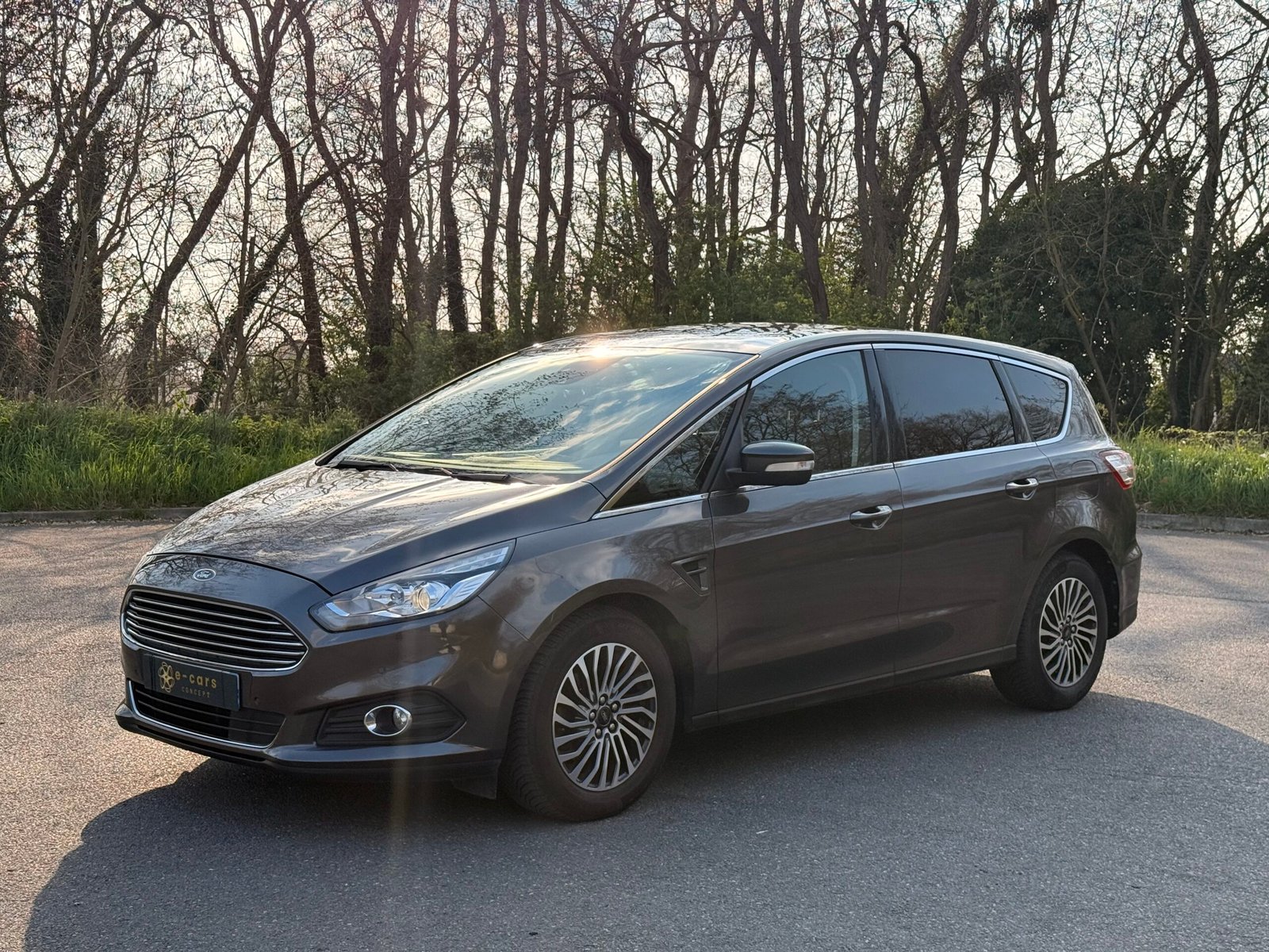 FORD S-Max II 2.0 EcoBlue S&S 150 cv / finition Titanium