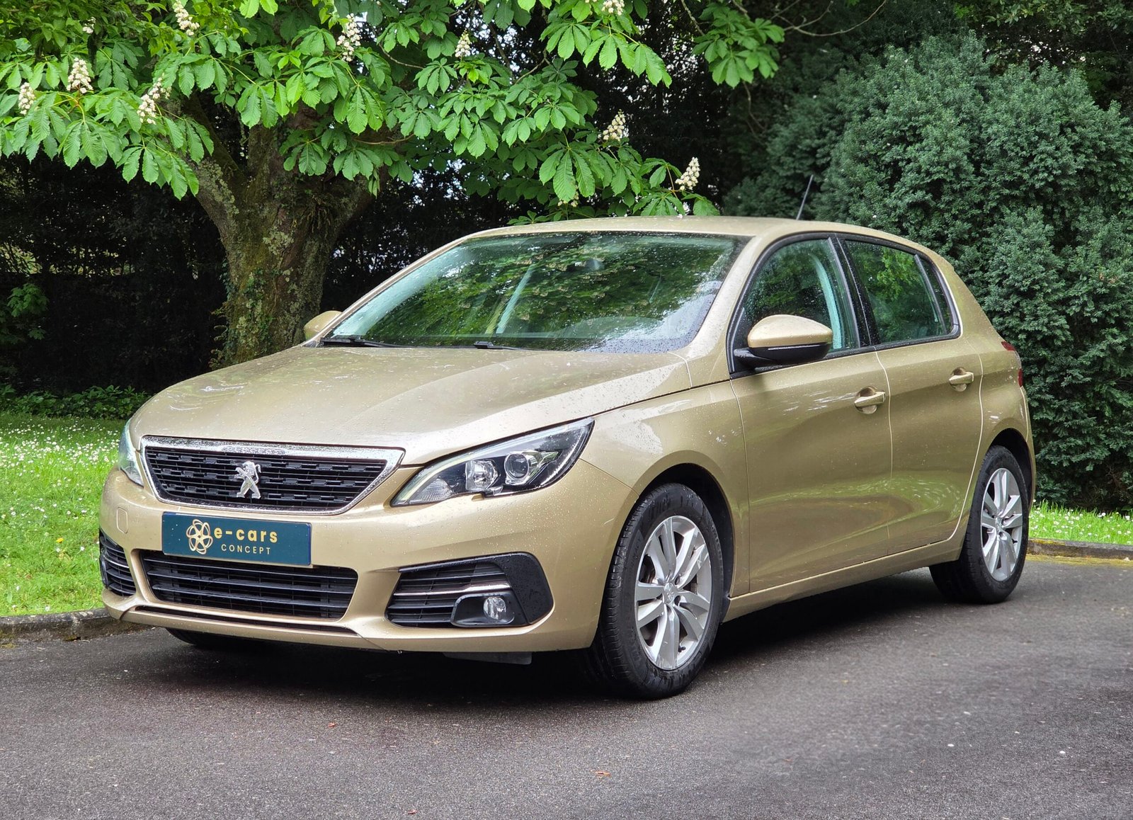 PEUGEOT 308 – 1.5 BlueHDi 130ch BVM6