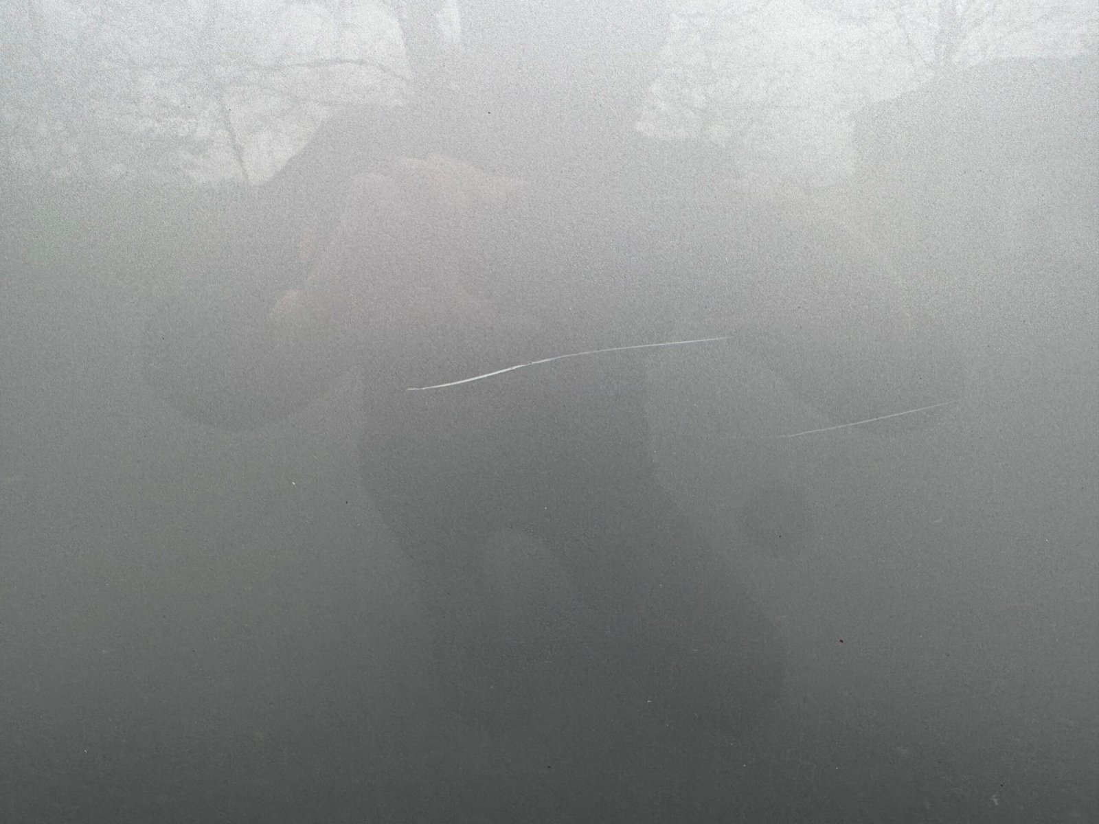 TOYOTA Avensis 1.8 VVT-i 147 ch « Dynamic »