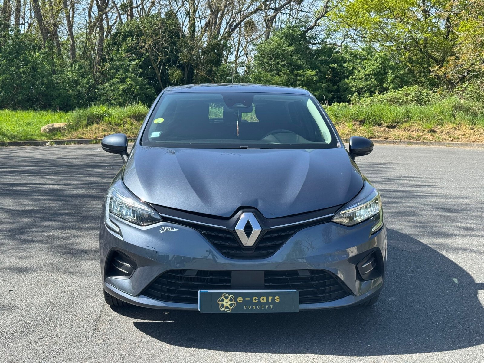 RENAULT Clio V 1.5 dCi 85 ch « Buisness »