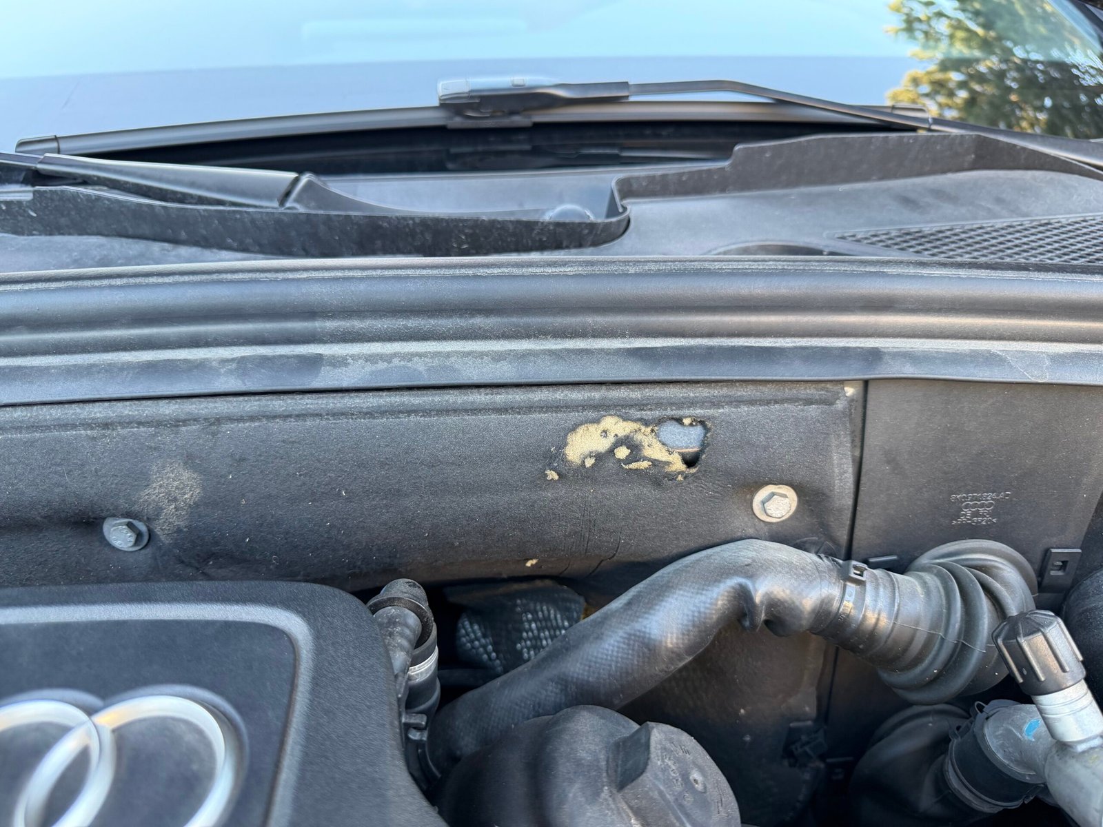 AUDI S5 SPORTBACK V6 3.0 TFSI 333 QUATTRO S TRONIC 7