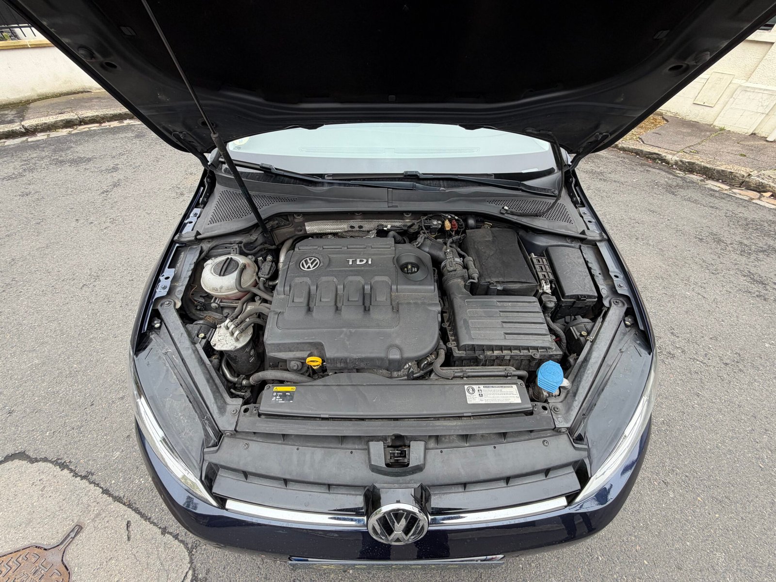 VOLKSWAGEN GOLF VII 1.6 TDI 110ch Confortline business