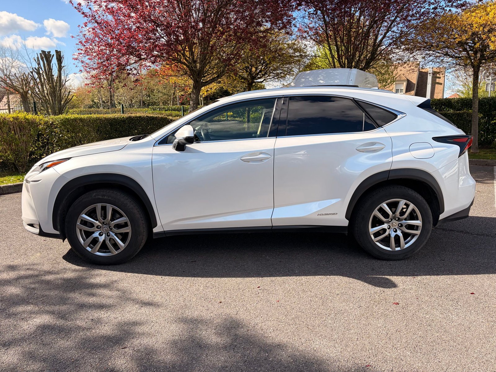LEXUS NX300h 2.5 VVT-i 16V 197 Hybrid AWD E-CVT 155 cv Boîte auto Luxe