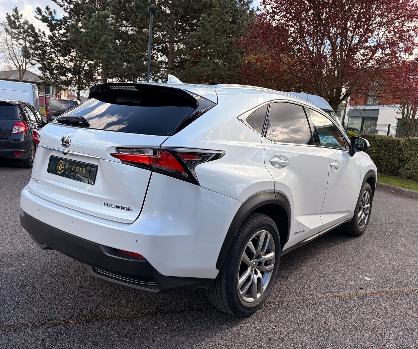 LEXUS NX300h 2.5 VVT-i 16V 197 Hybrid AWD E-CVT 155 cv Boîte auto Luxe