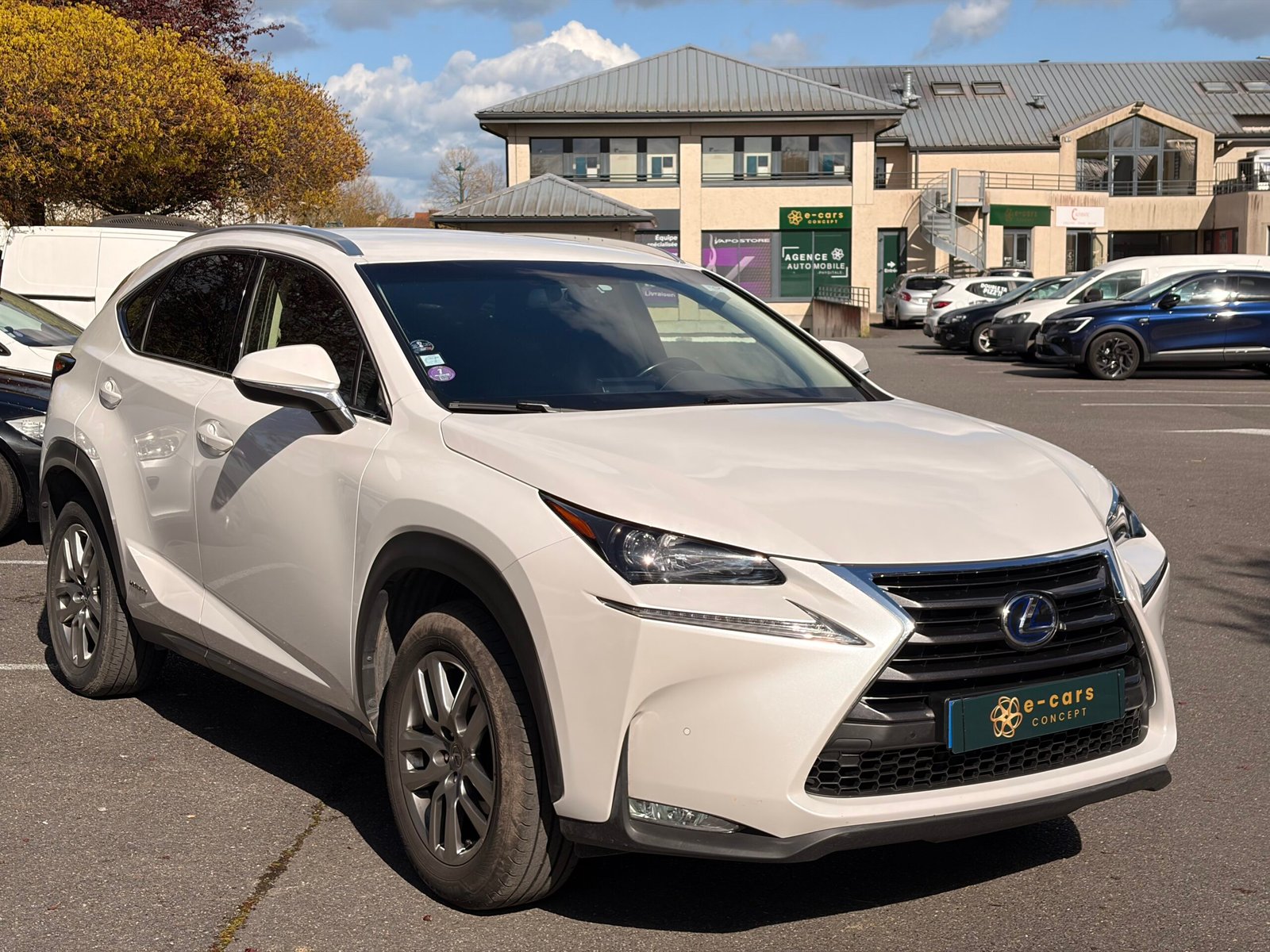 LEXUS NX300h 2.5 VVT-i 16V 197 Hybrid AWD E-CVT 155 cv Boîte auto Luxe