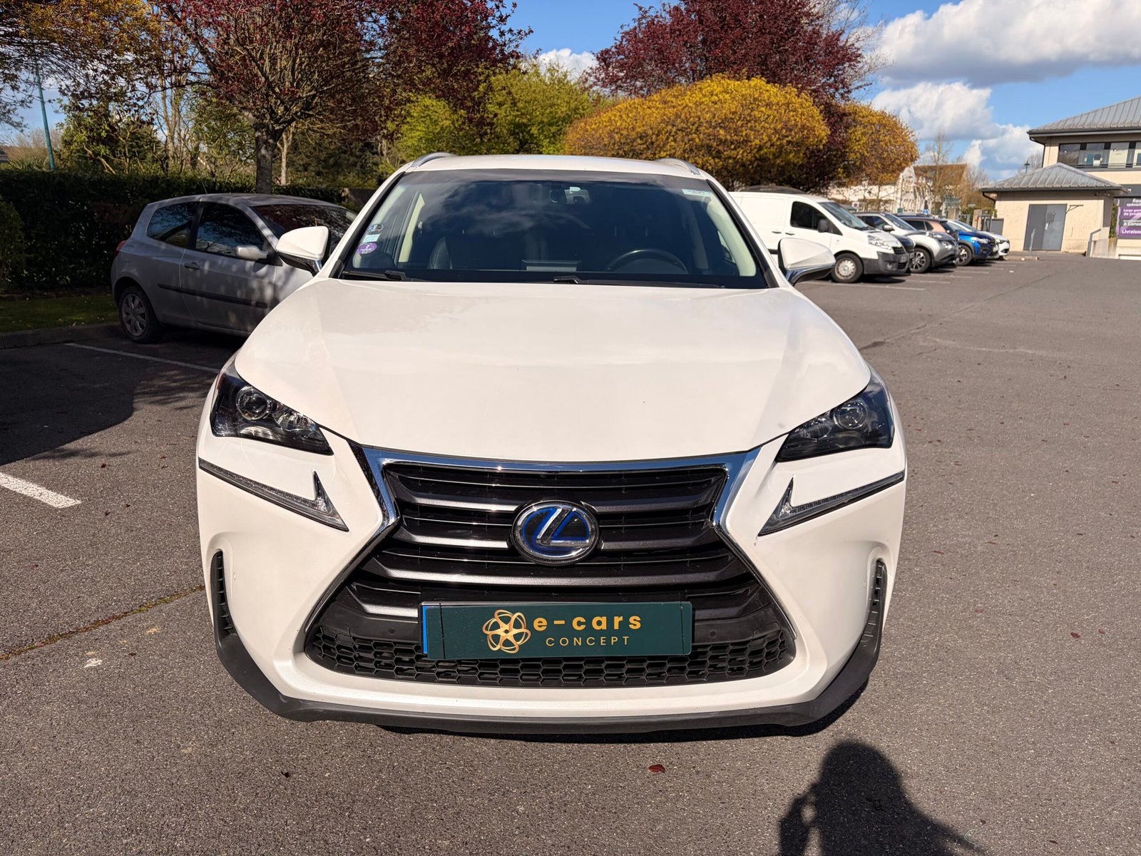 LEXUS NX300h 2.5 VVT-i 16V 197 Hybrid AWD E-CVT 155 cv Boîte auto Luxe