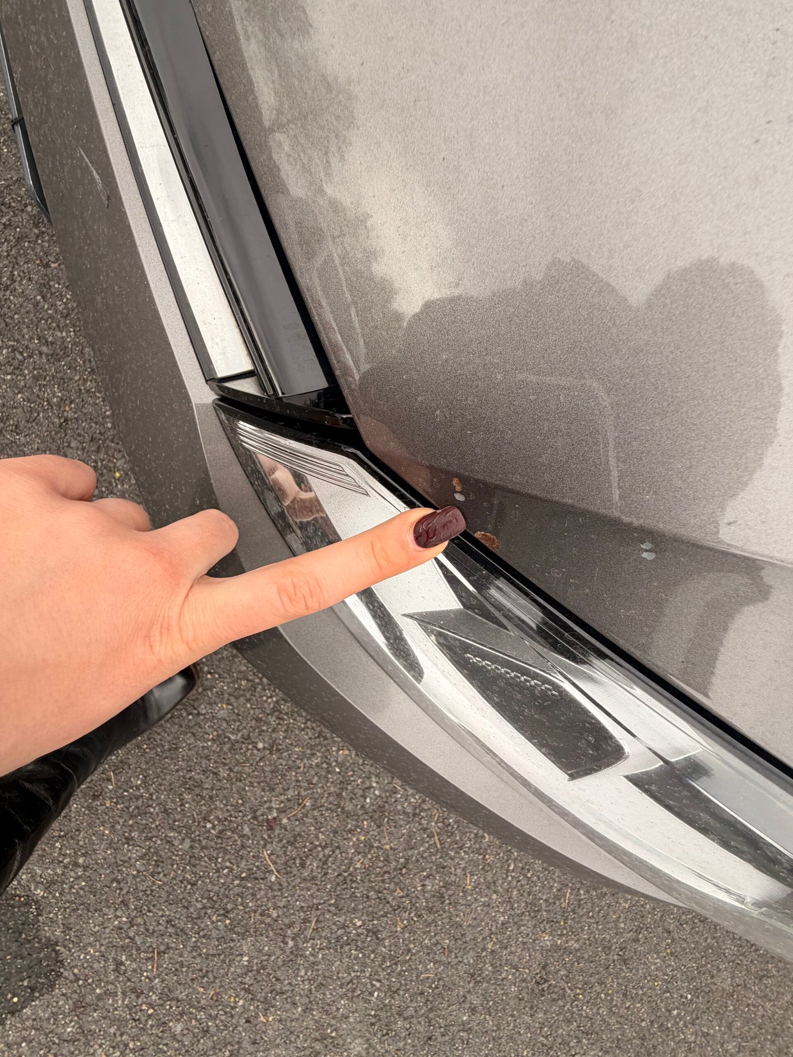 VOLKSWAGEN Golf VII 5 Portes 1.4 TSI 16V Blue Motion S&S 140 cv