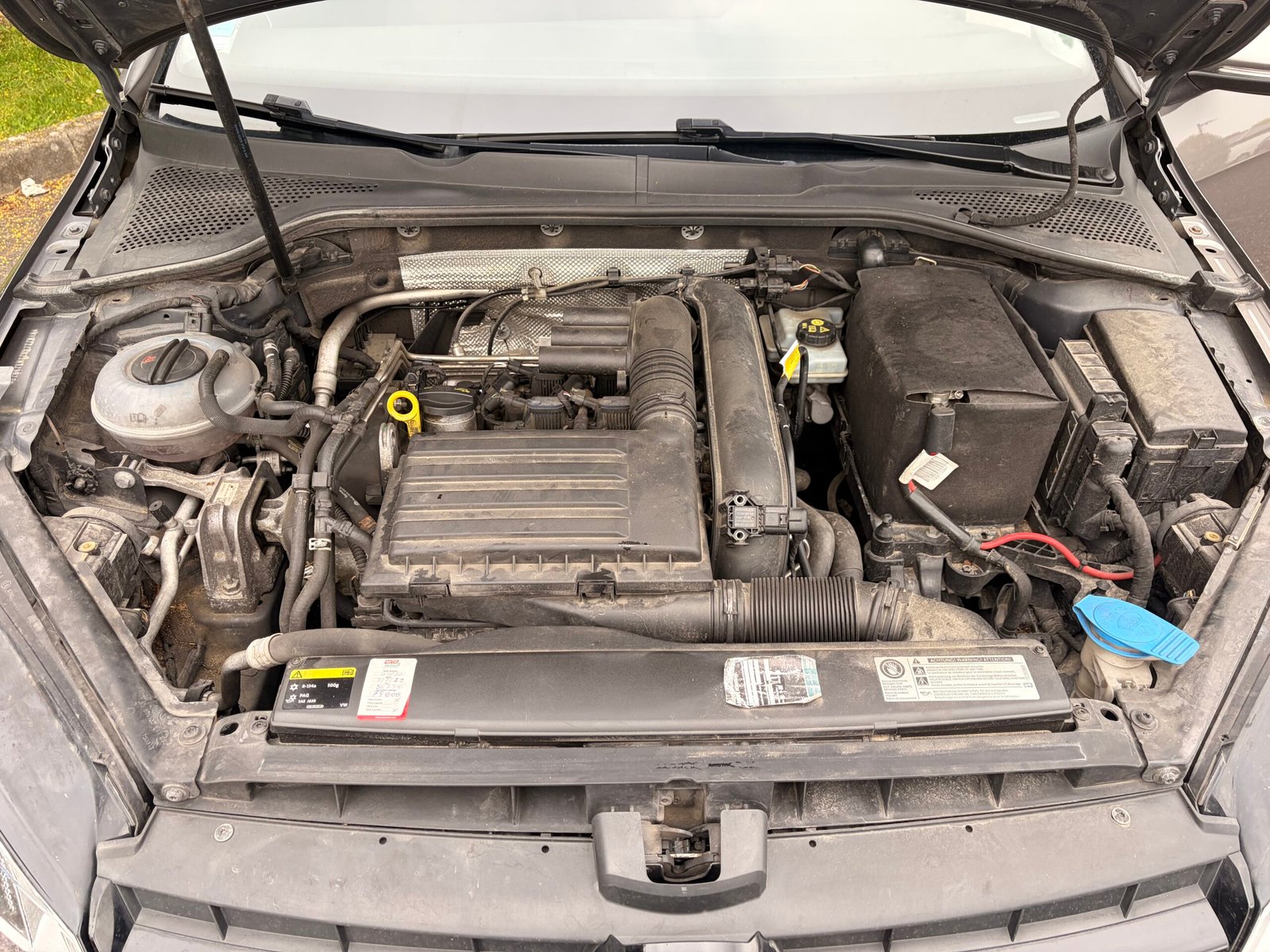 VOLKSWAGEN Golf VII 5 Portes 1.4 TSI 16V Blue Motion S&S 140 cv