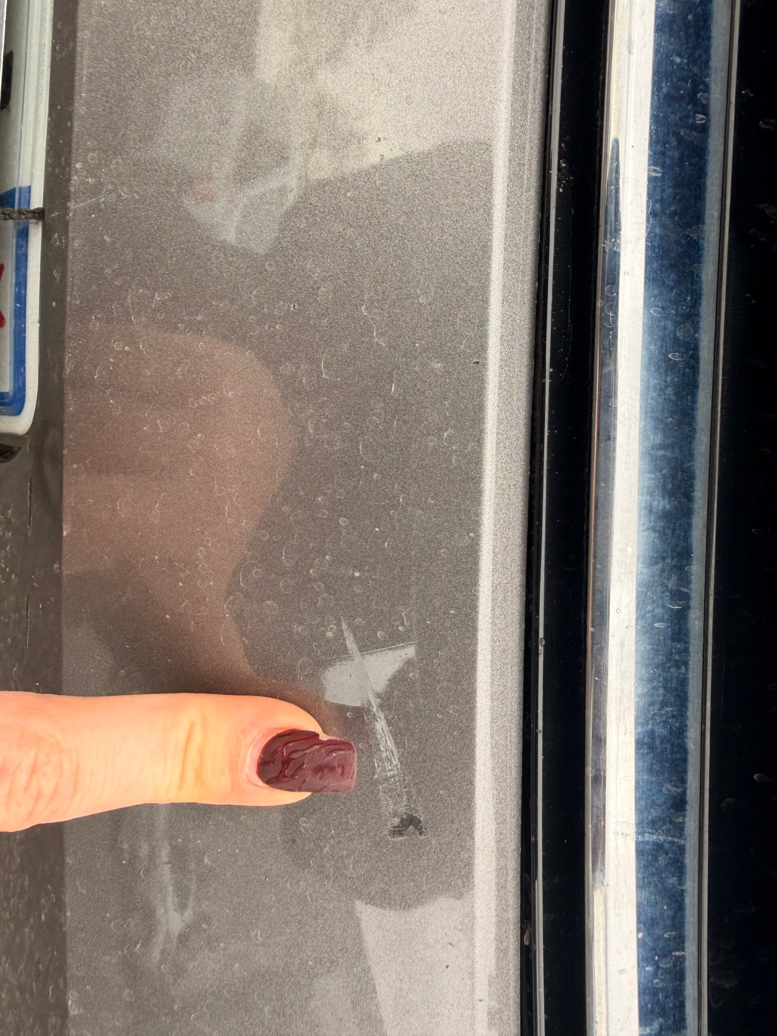 VOLKSWAGEN Golf VII 5 Portes 1.4 TSI 16V Blue Motion S&S 140 cv