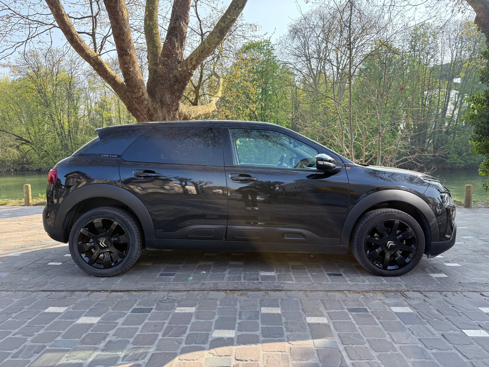 Citroën C4 Cactus 1.5 BlueHdi 130 Shine
