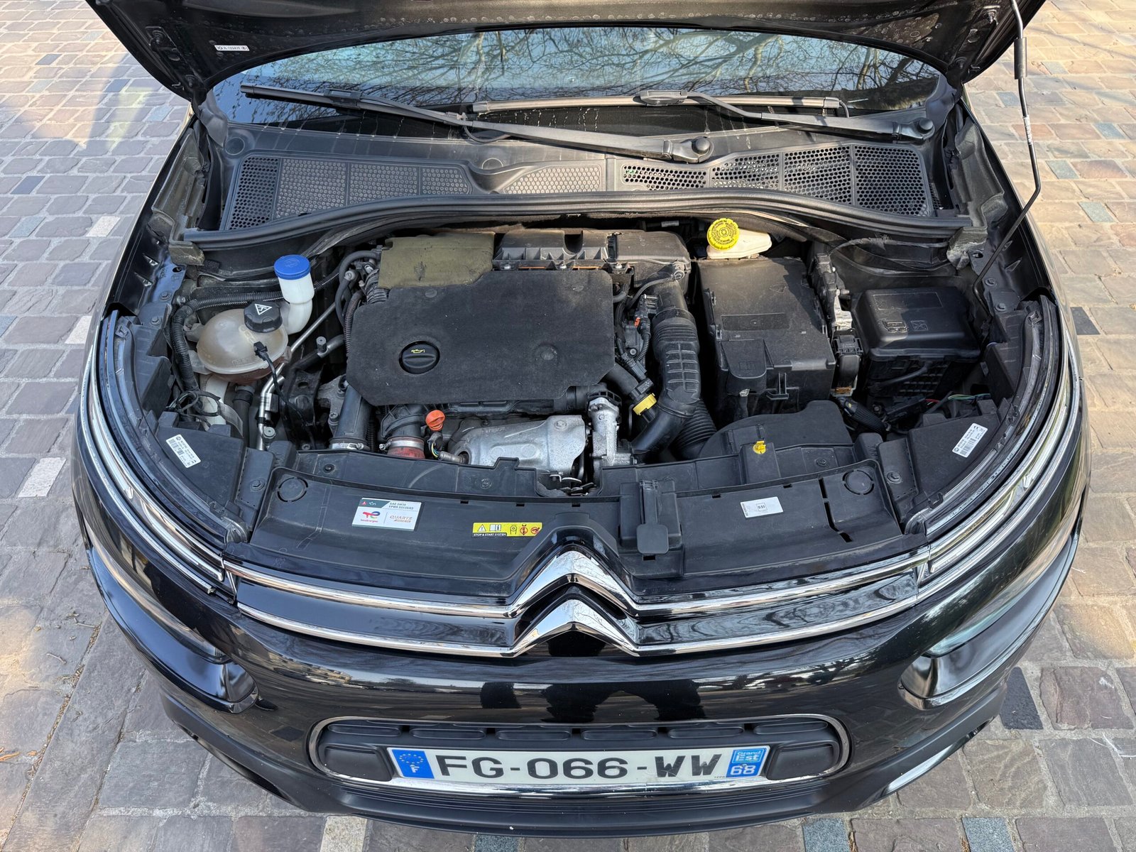 Citroën C4 Cactus 1.5 BlueHdi 130 Shine