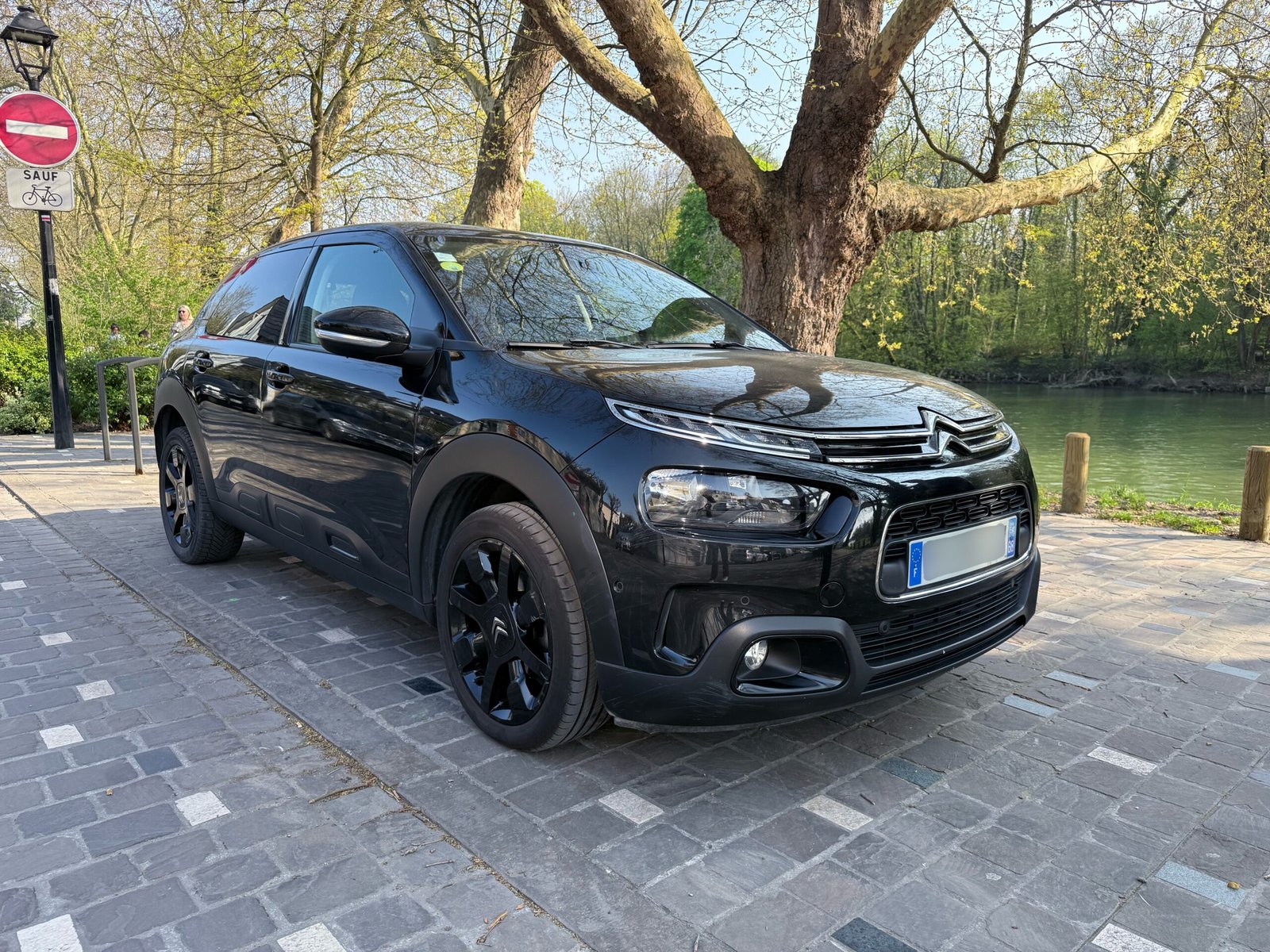 Citroën C4 Cactus 1.5 BlueHdi 130 Shine