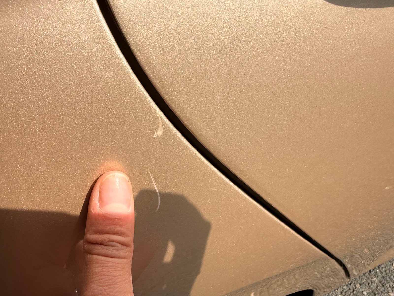 VOLKSWAGEN Polo VI 1.0 TSI DSG7 95 cv Boîte auto / Loundge