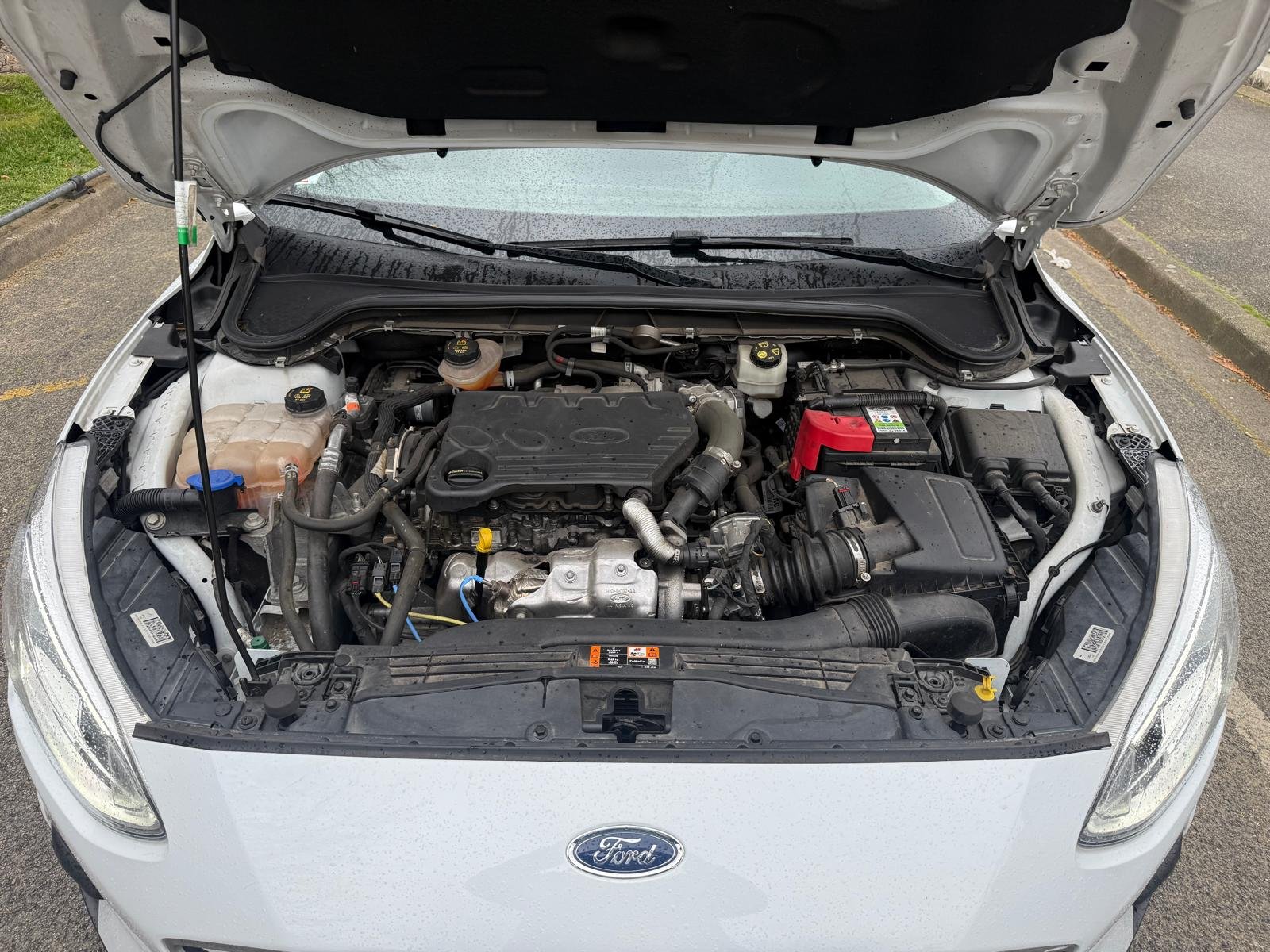 FORD Focus – IV (4) 1.5 TDCI 95 Ch “Business”