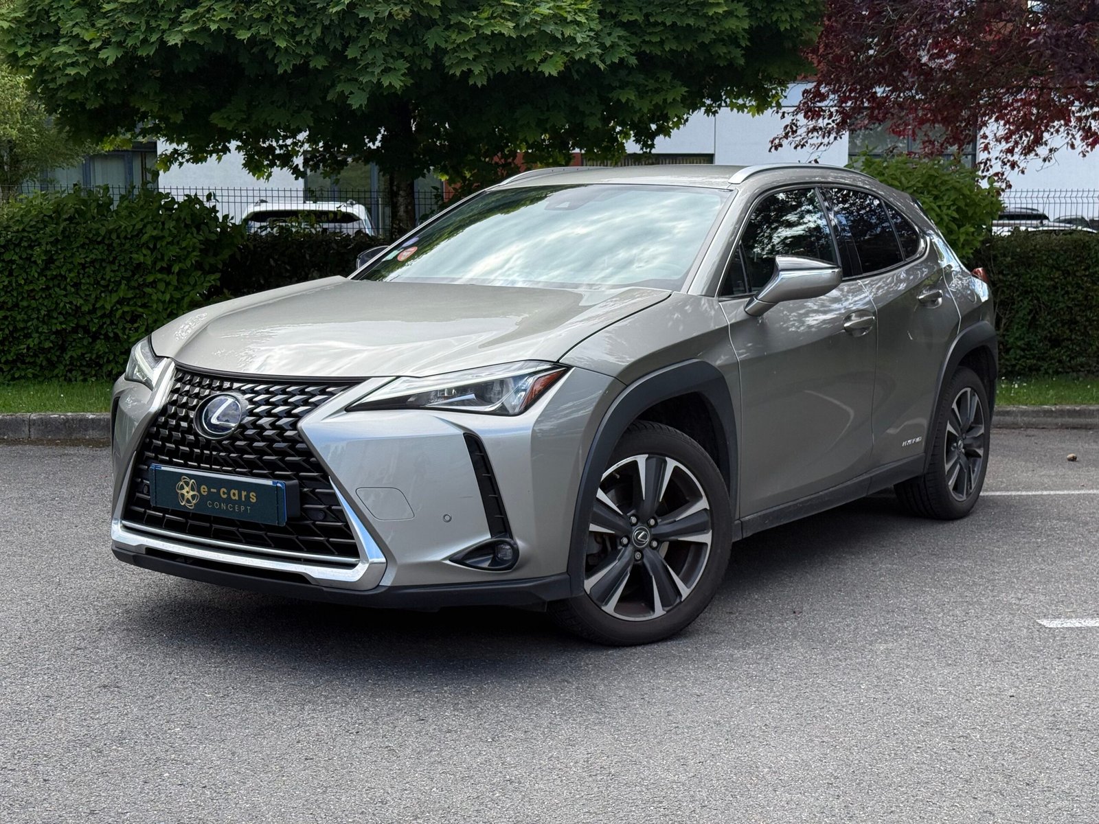 LEXUS UX 250h 2.0 VVT-iE 16V 184 Hybrid FWD 152 cv Boîte auto Prenium Edition