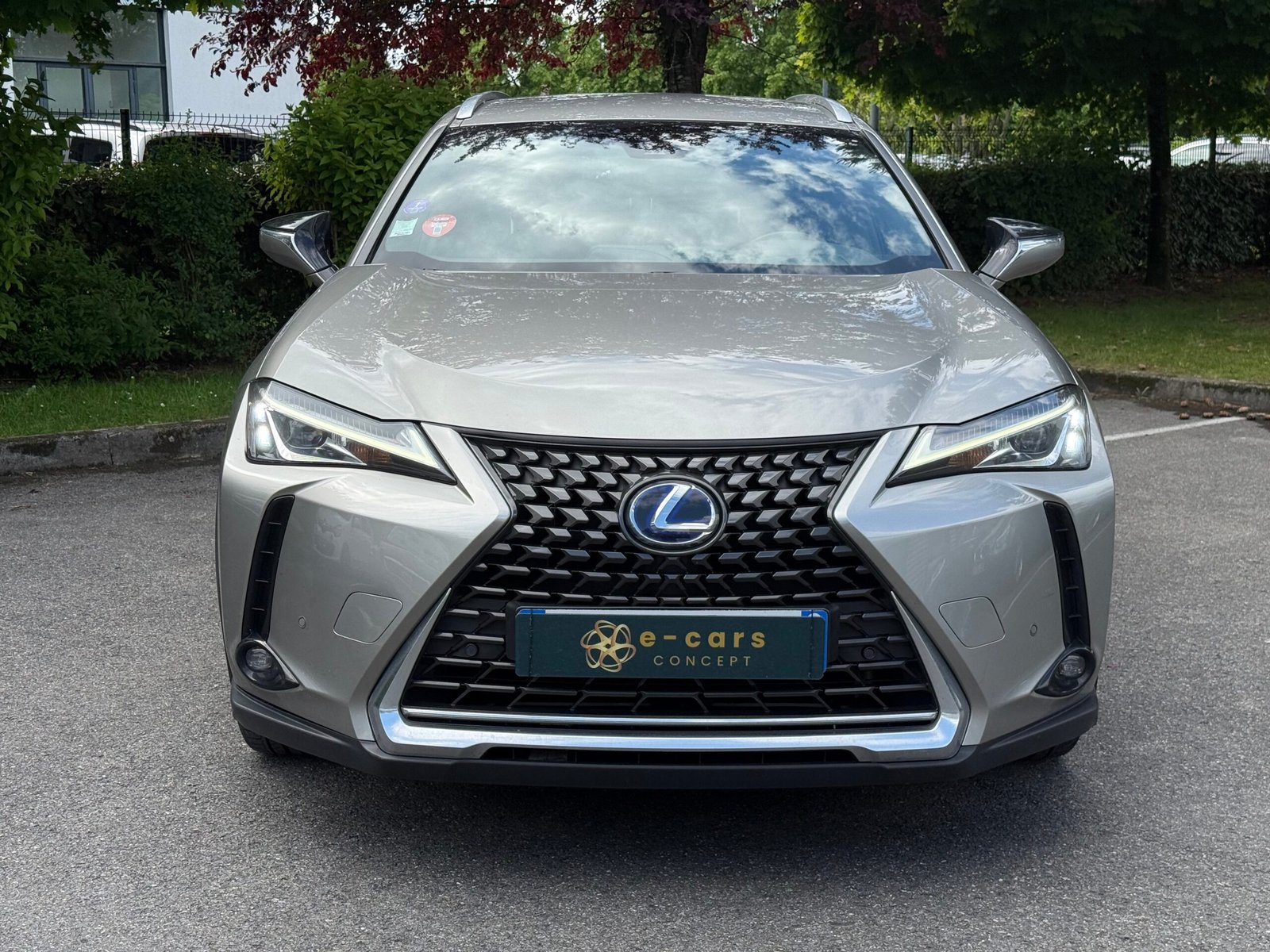 LEXUS UX 250h 2.0 VVT-iE 16V 184 Hybrid FWD 152 cv Boîte auto Prenium Edition