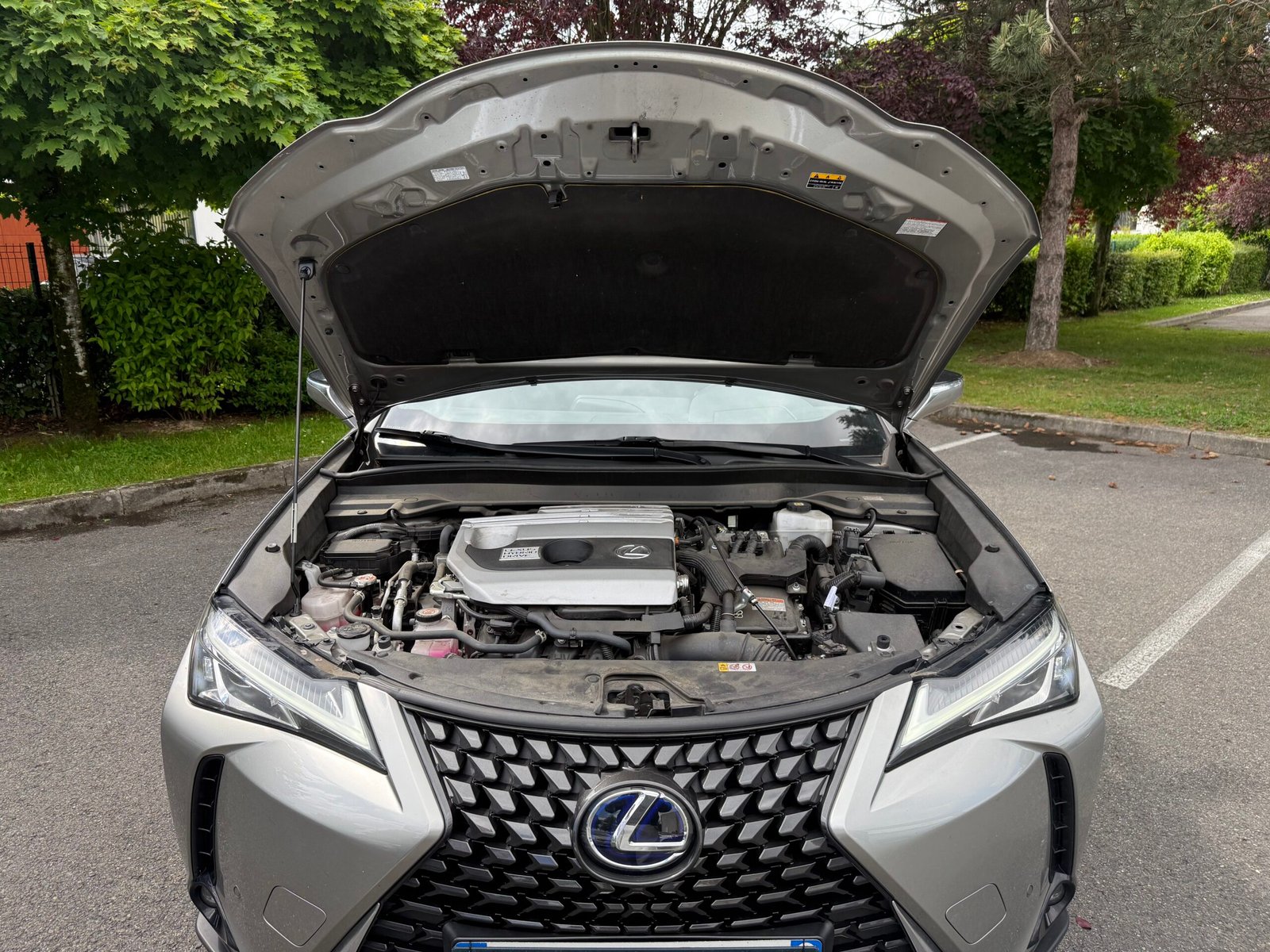 LEXUS UX 250h 2.0 VVT-iE 16V 184 Hybrid FWD 152 cv Boîte auto Prenium Edition