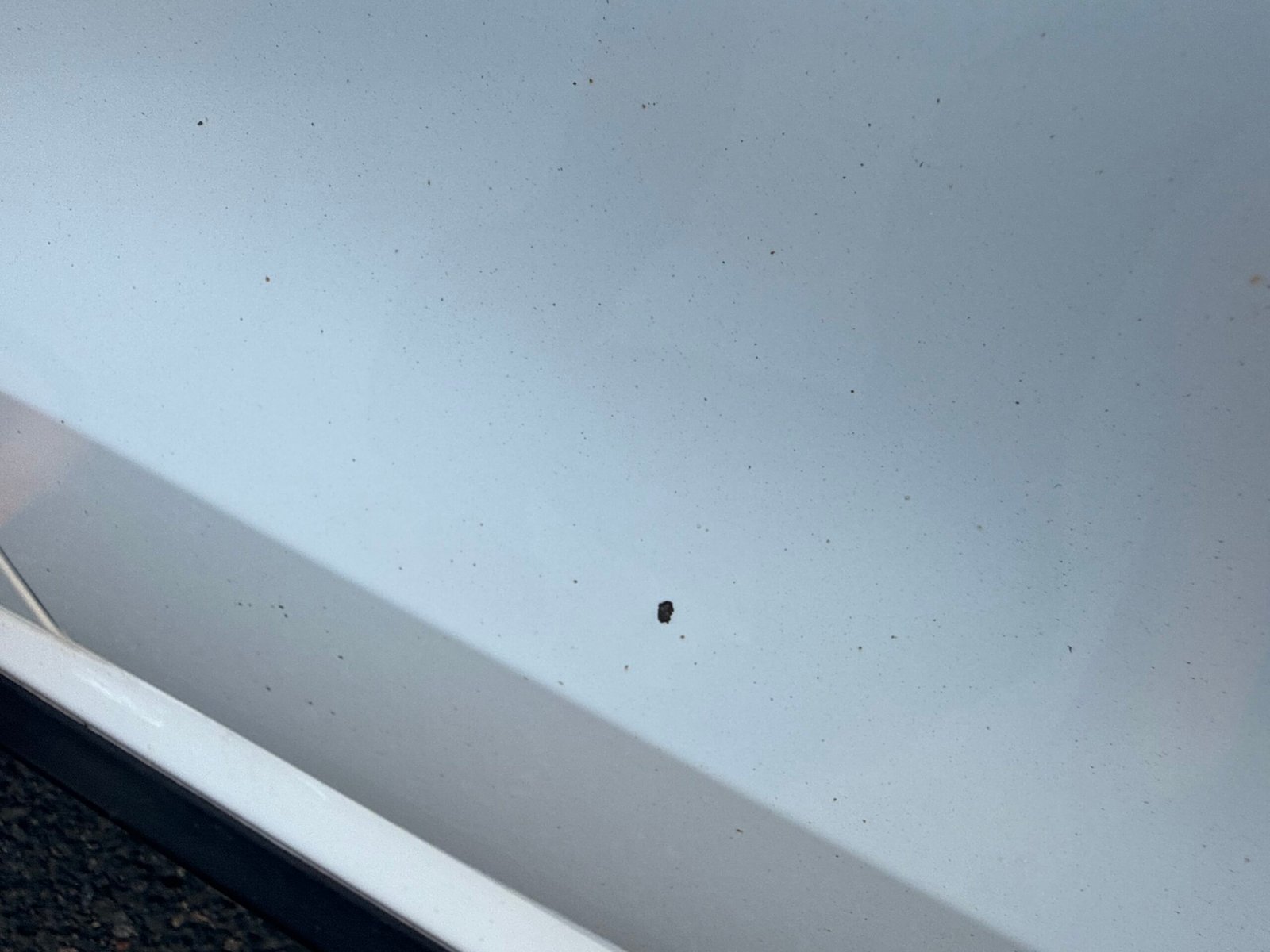 VOLKSWAGEN Polo V 3 portes Phase 2 GTI 1.8 TSI BlueMotion DSG7 192 cv