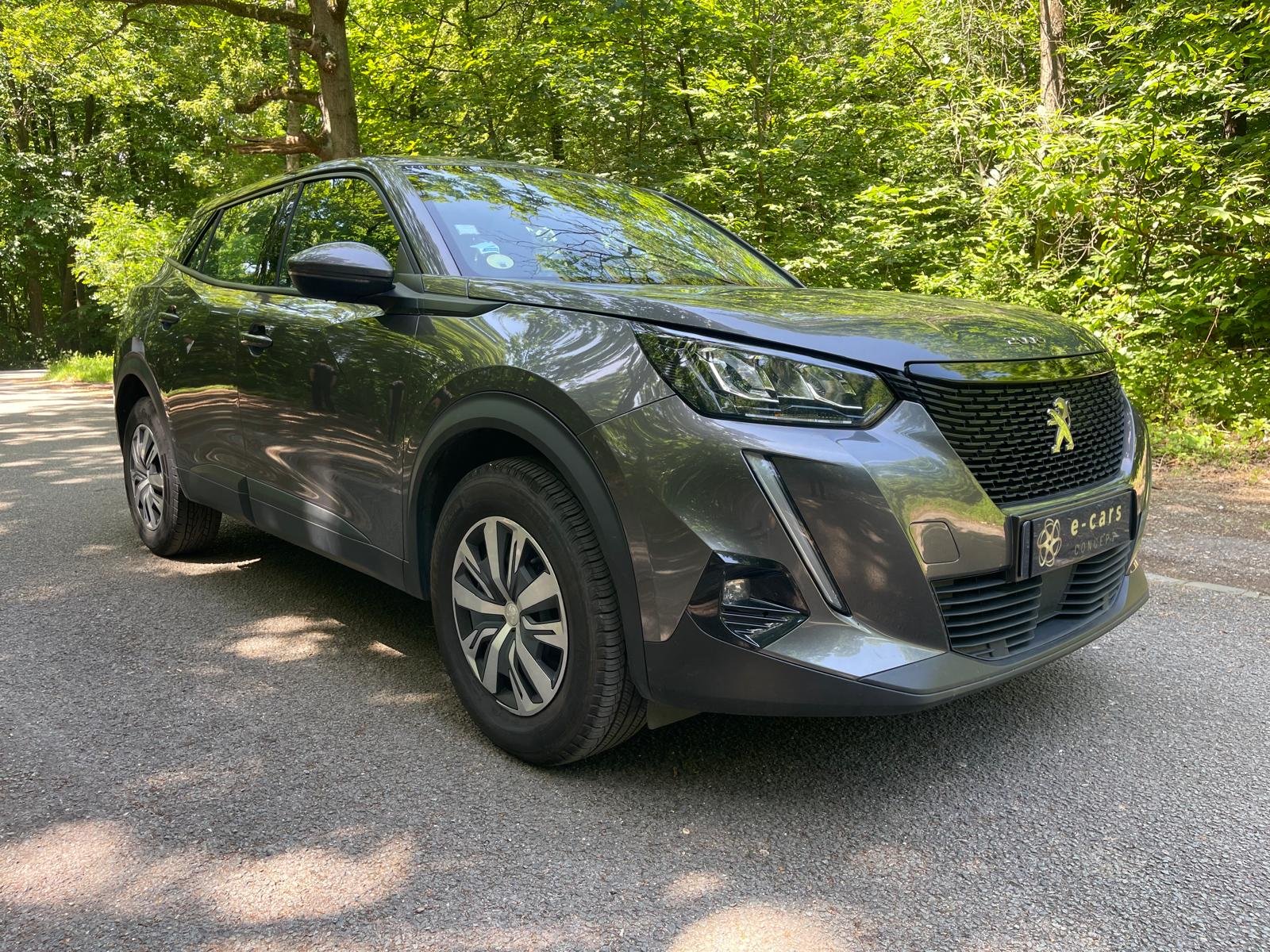 PEUGEOT 2008 1.5 BlueHDi 130 ACTIVE BUSINESS