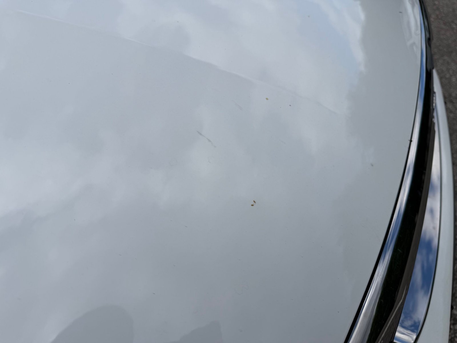 PEUGEOT 308 Phase II 1.5 Blue HDi 102 cv
