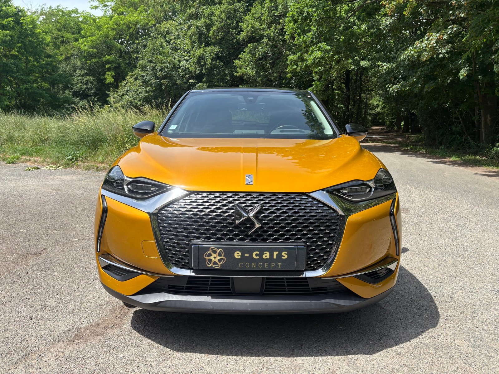 DS DS3 Crossback 1.2 THP 155 Perfomance line + Pack Opera