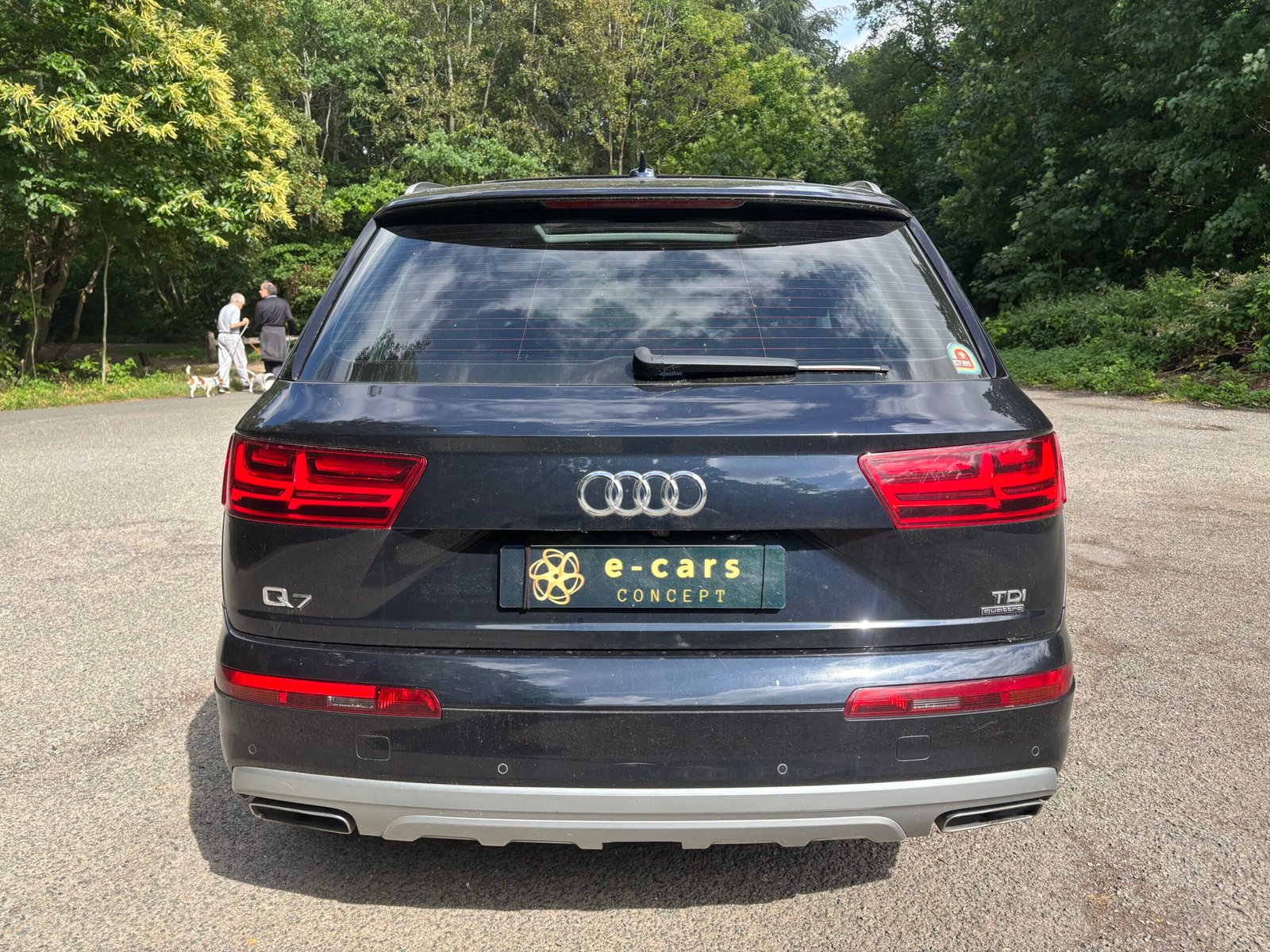 AUDI Q7 3.0 TDI V6 Quattro 218 cv AVUS