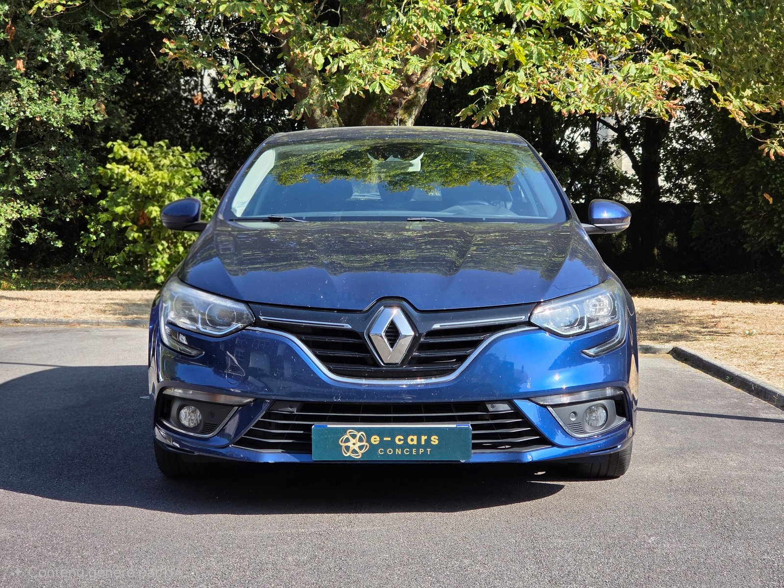 RENAULT MÉGANE IV Business – 1.5 Blue dCi 115ch BVM6