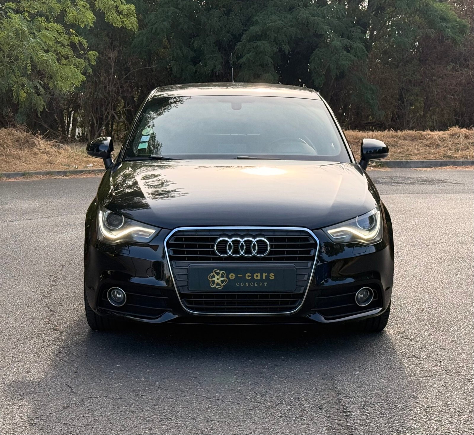 AUDI A1 I SLine 3 Portes 1.6 TDI 90 cv