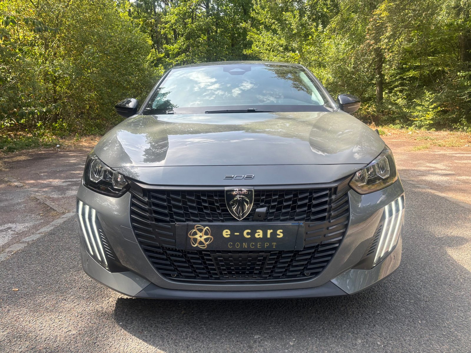 PEUGEOT 208 1.2 Hybrid e-DSC6 110 ALLURE