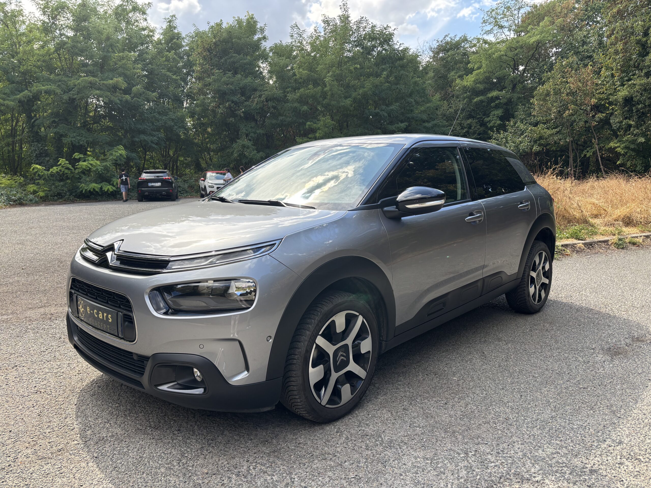 CITROËN C4 Cactus Phase 2 1.2 THP 110 SHINE