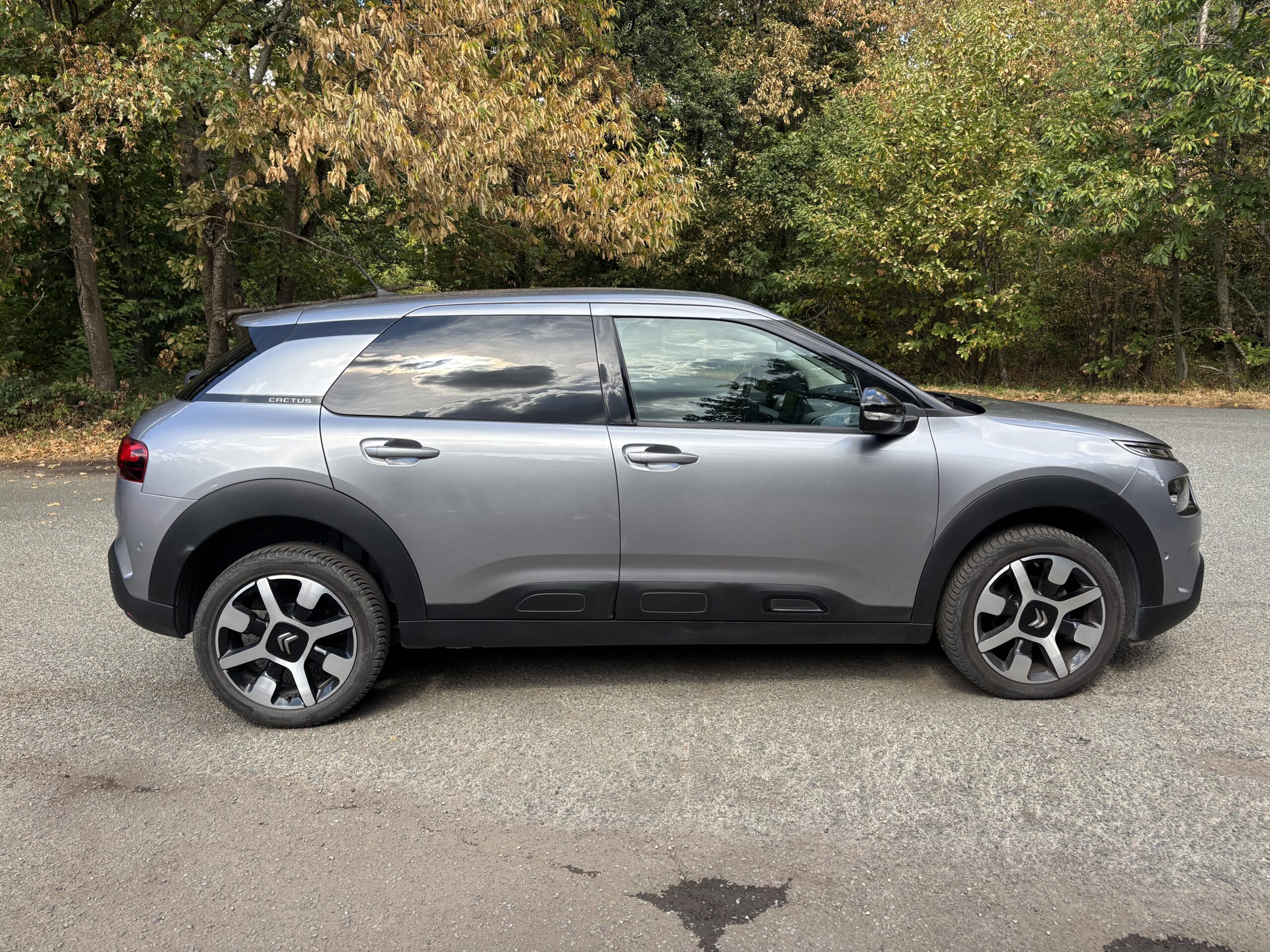 CITROËN C4 Cactus Phase 2 1.2 THP 110 SHINE