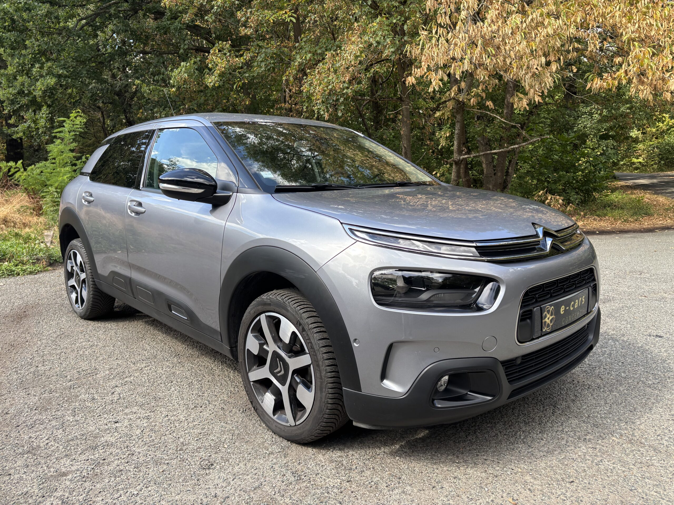 CITROËN C4 Cactus Phase 2 1.2 THP 110 SHINE