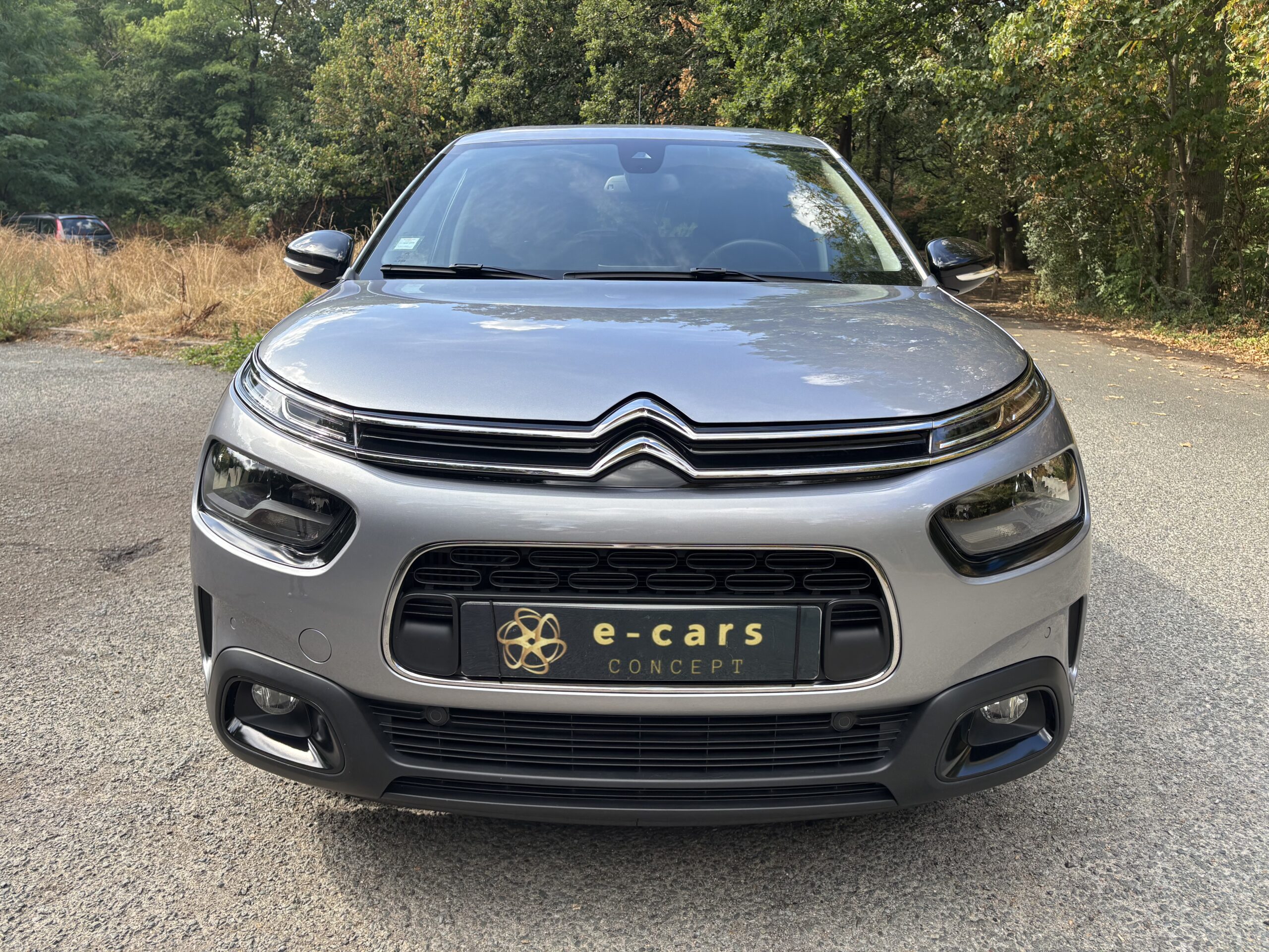 CITROËN C4 Cactus Phase 2 1.2 THP 110 SHINE