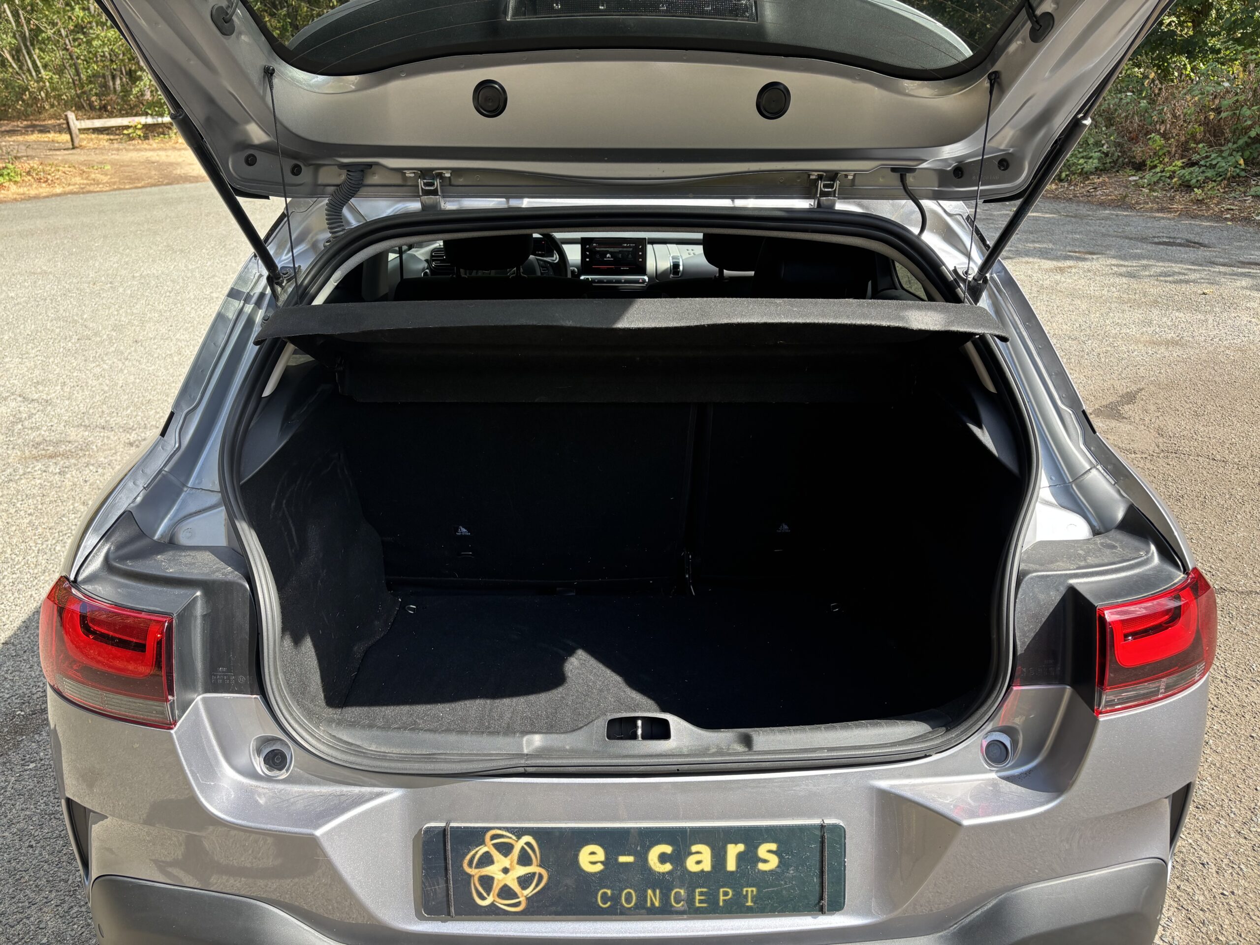 CITROËN C4 Cactus Phase 2 1.2 THP 110 SHINE