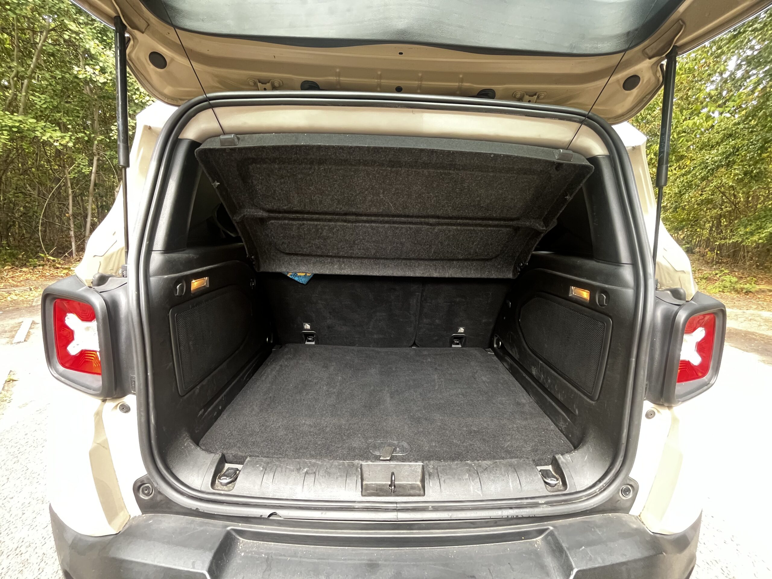 JEEP RENEGADE 1.6 MultiJet Longitude Business 120 BM6