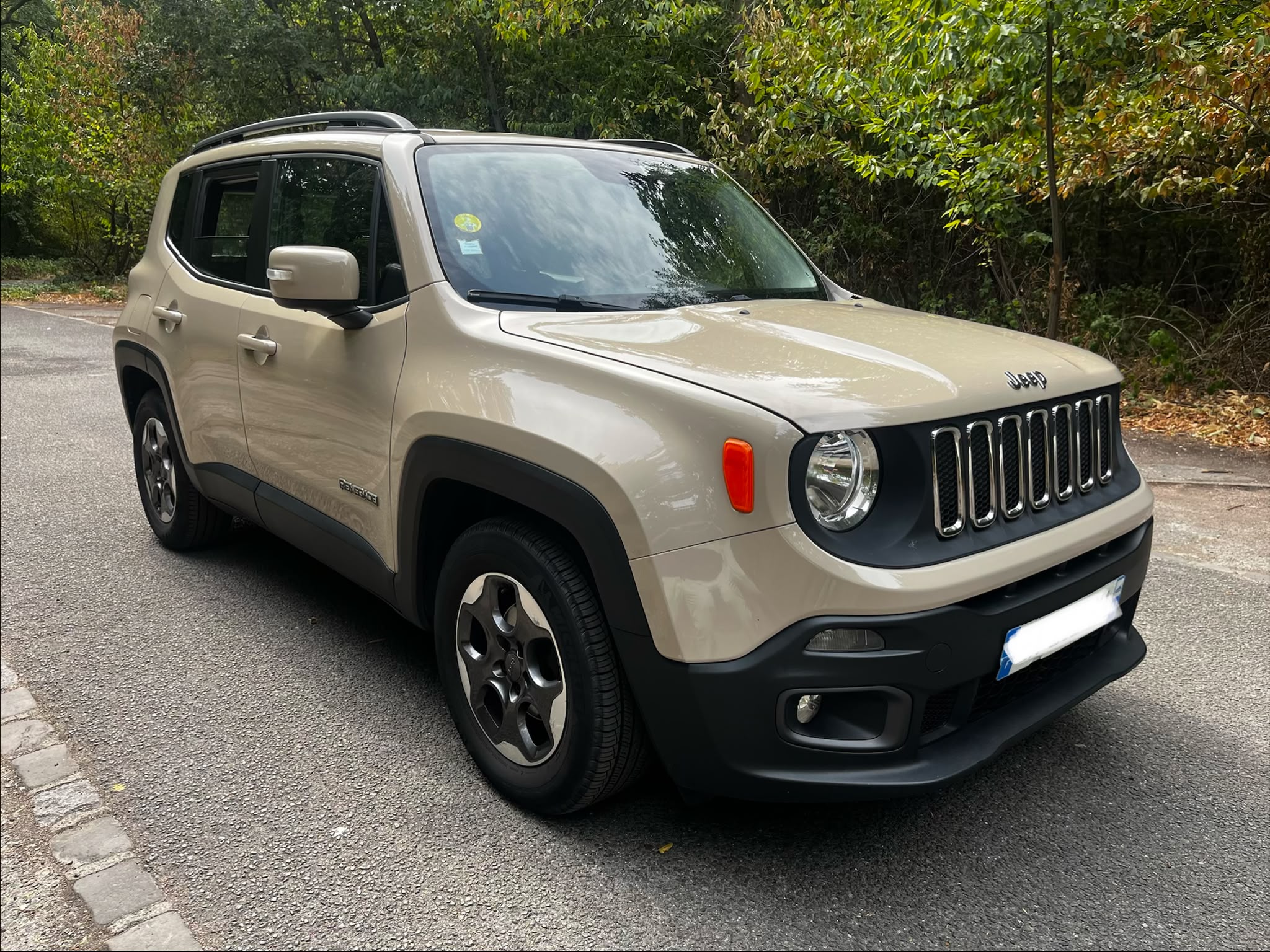 JEEP RENEGADE 1.6 MultiJet Longitude Business 120 BM6