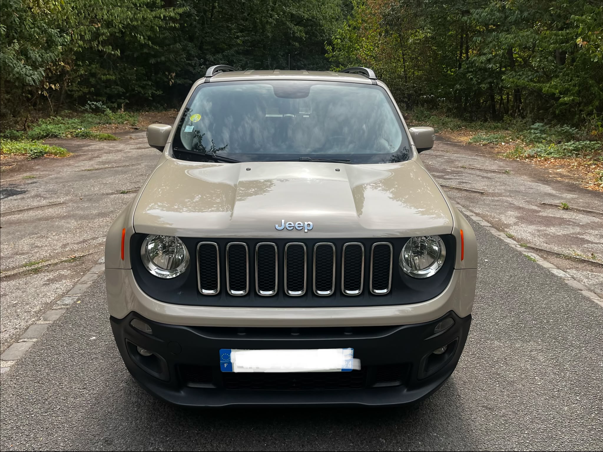 JEEP RENEGADE 1.6 MultiJet Longitude Business 120 BM6