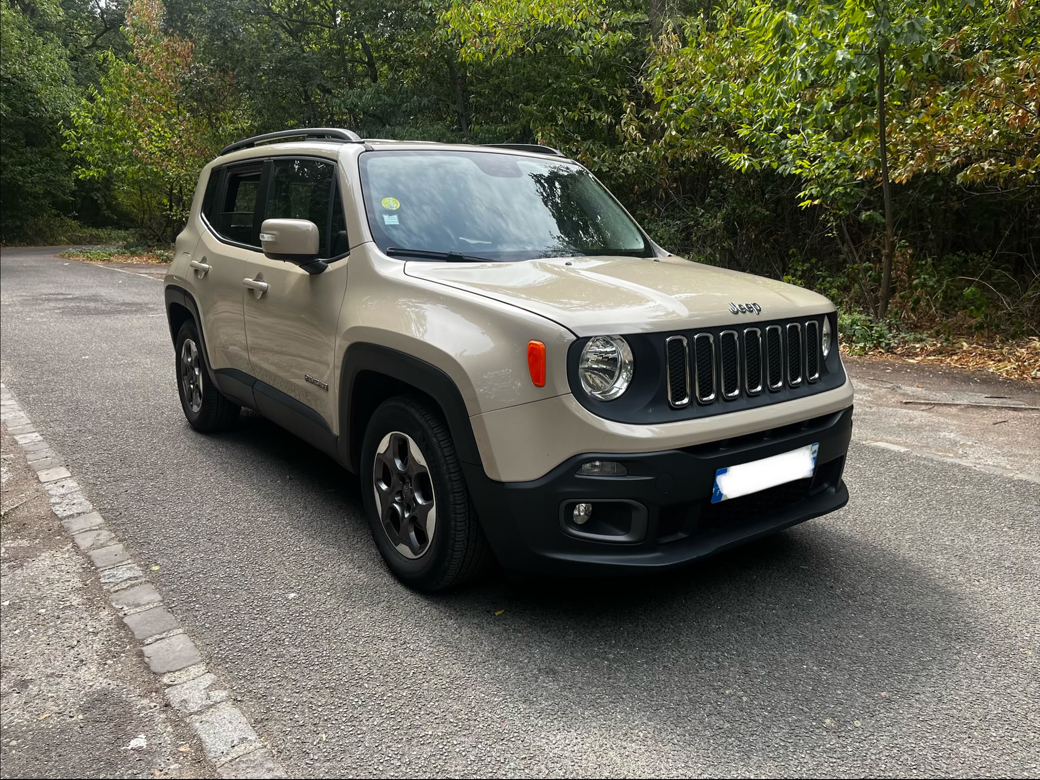 JEEP RENEGADE 1.6 MultiJet Longitude Business 120 BM6