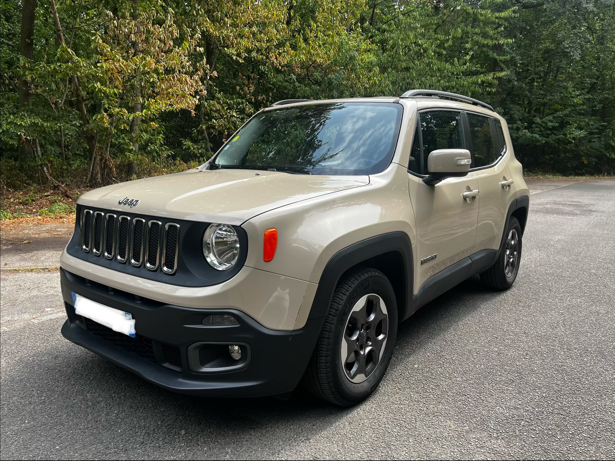 JEEP RENEGADE 1.6 MultiJet Longitude Business 120 BM6