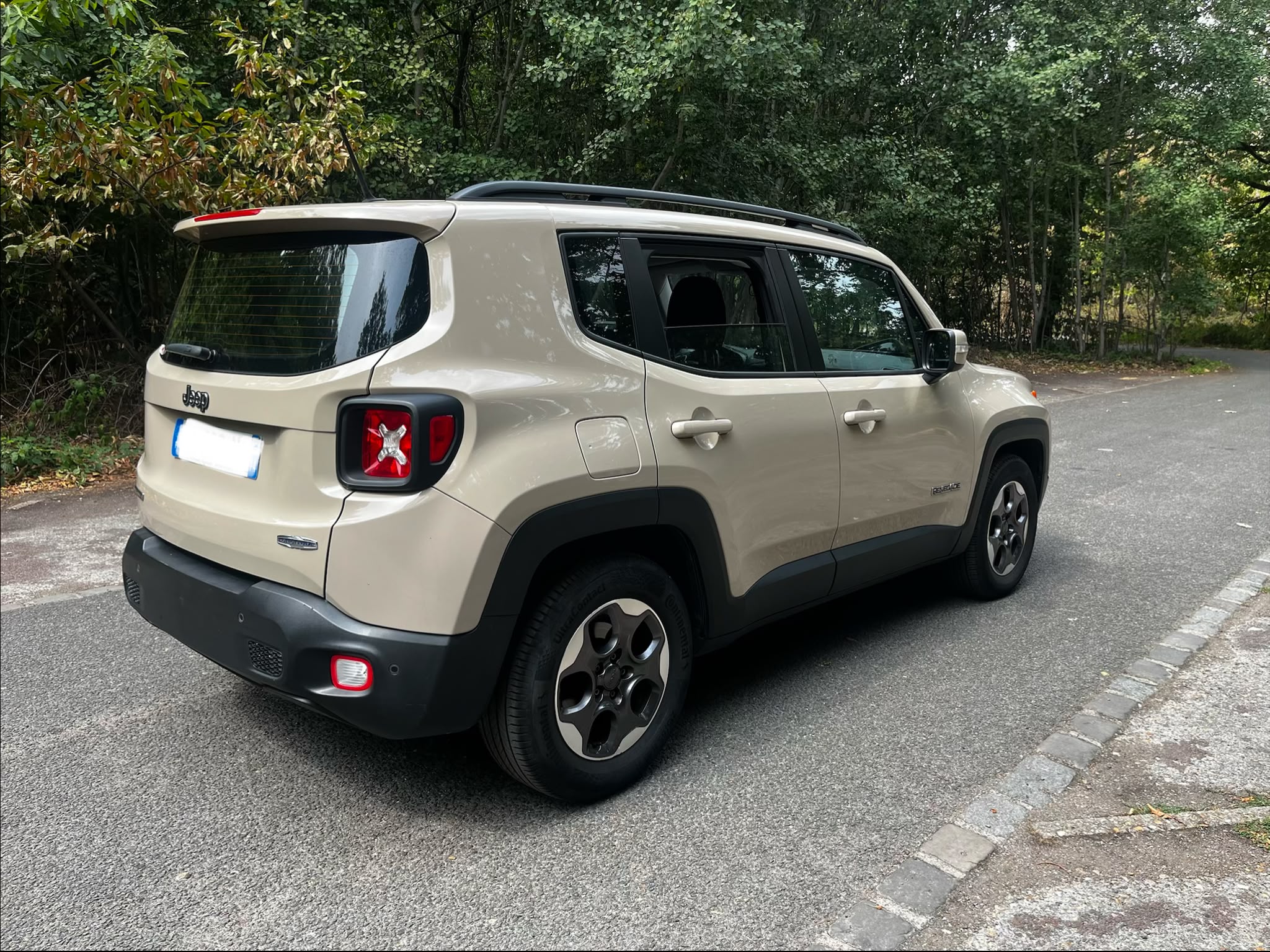 JEEP RENEGADE 1.6 MultiJet Longitude Business 120 BM6