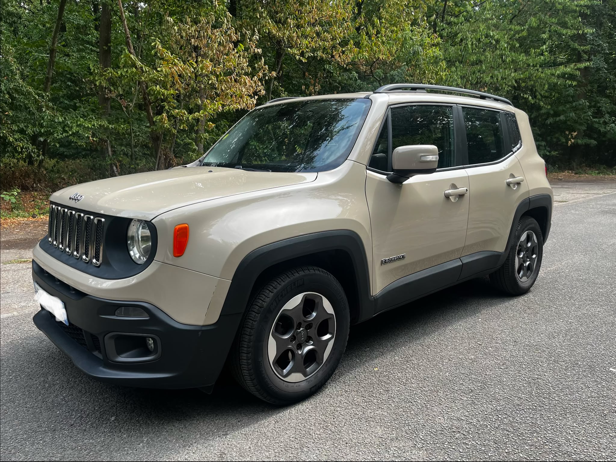 JEEP RENEGADE 1.6 MultiJet Longitude Business 120 BM6