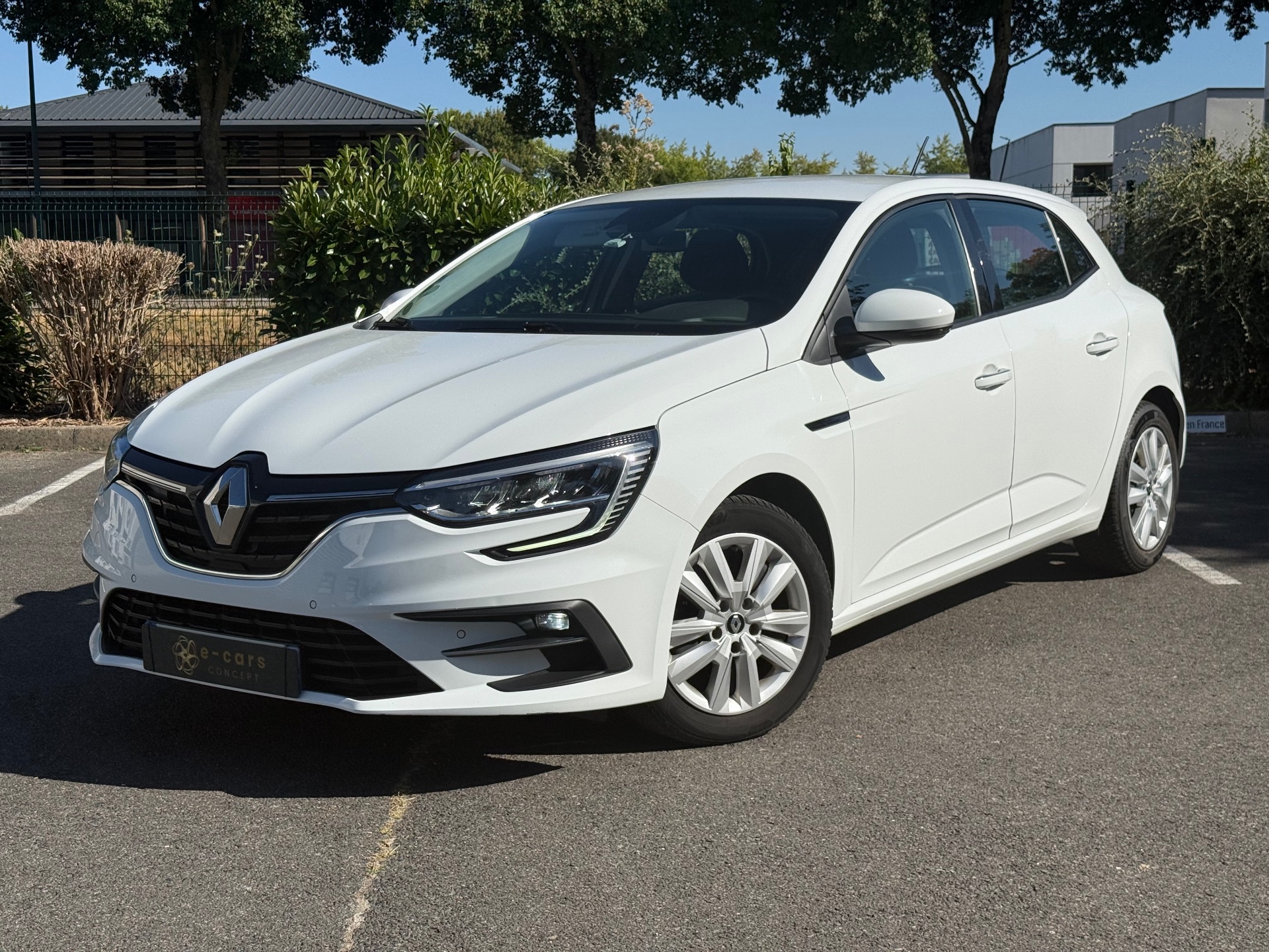 Mégane société