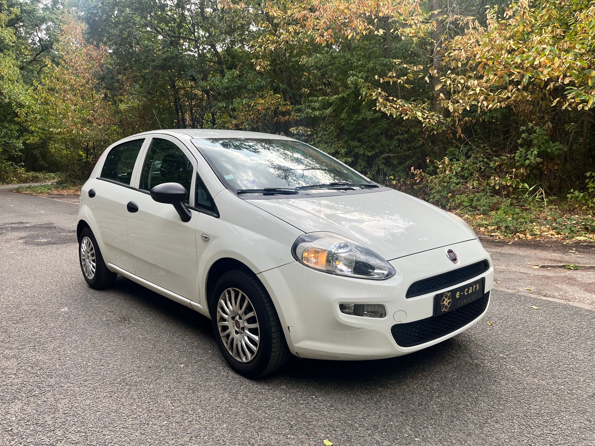 Fiat Punto 1,2 8v 69ch Easy