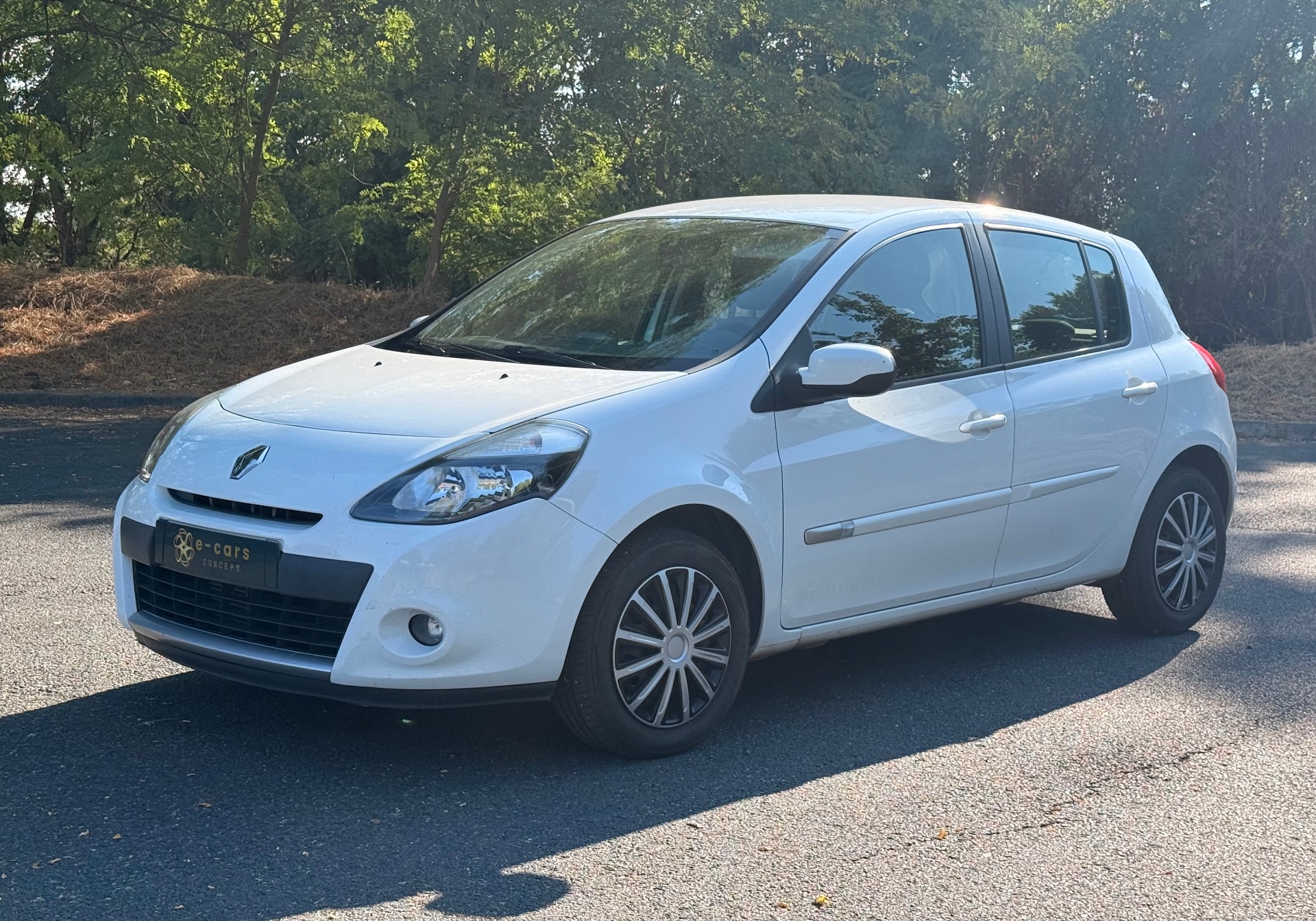 Renault Clio 1.5 L dci Business eco