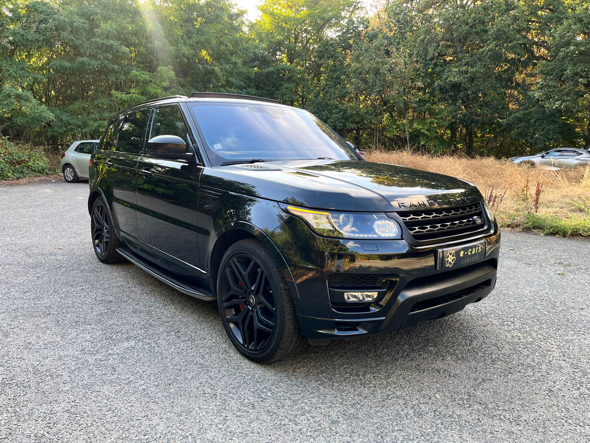 Land Rover Range Rover Sport 4,4 sdV8 339ch Autobiography