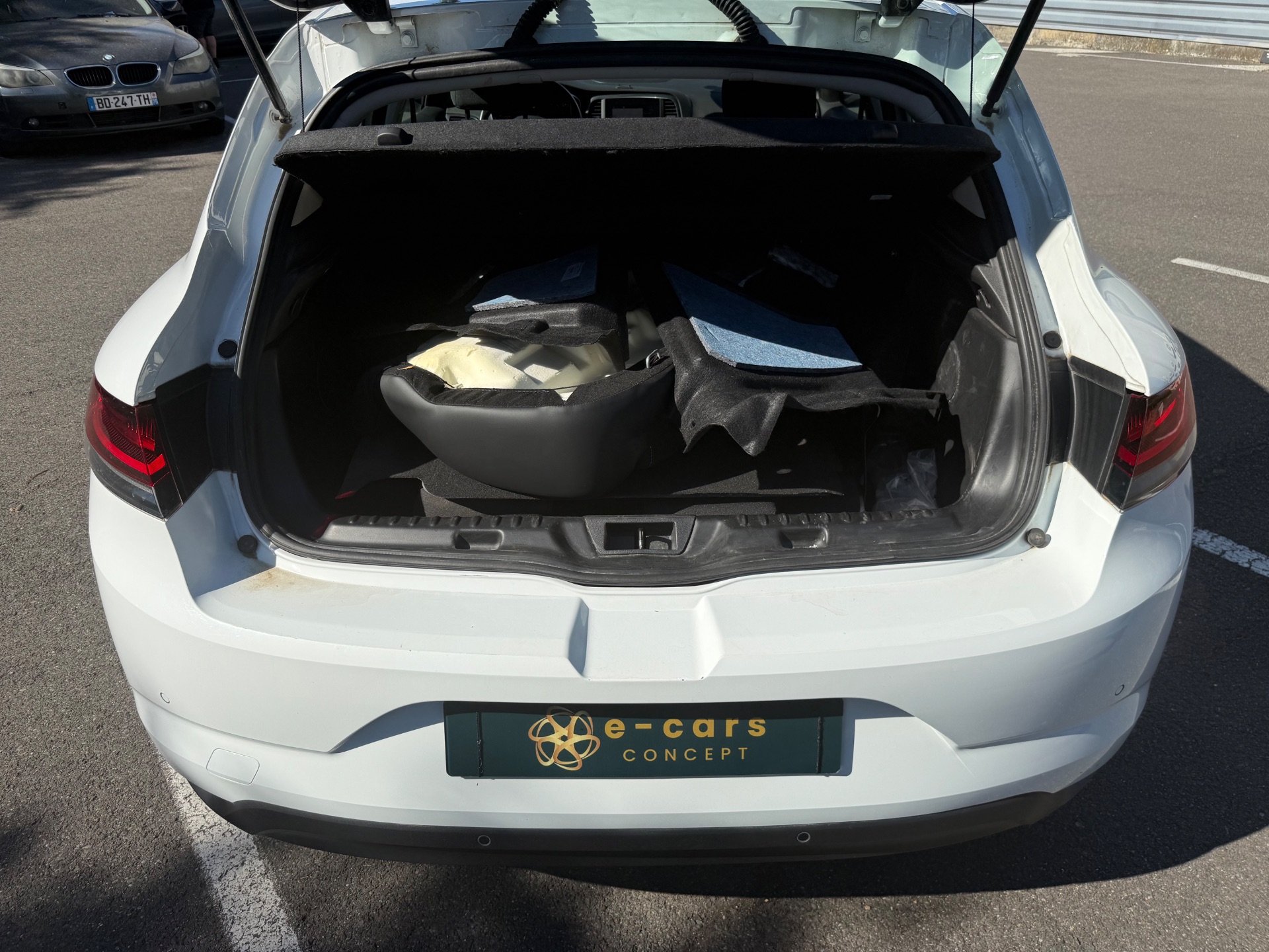 Mégane société