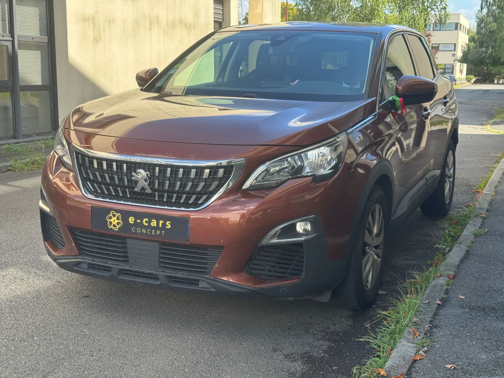 Peugeot 3008 1.6 BLUEHDI 120ch ACTIVE BUISSNESS
