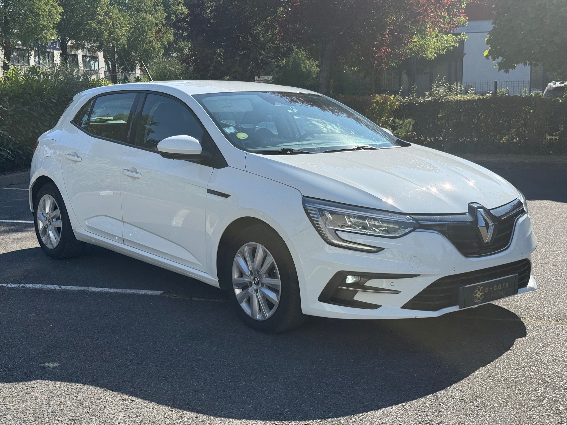 Mégane société
